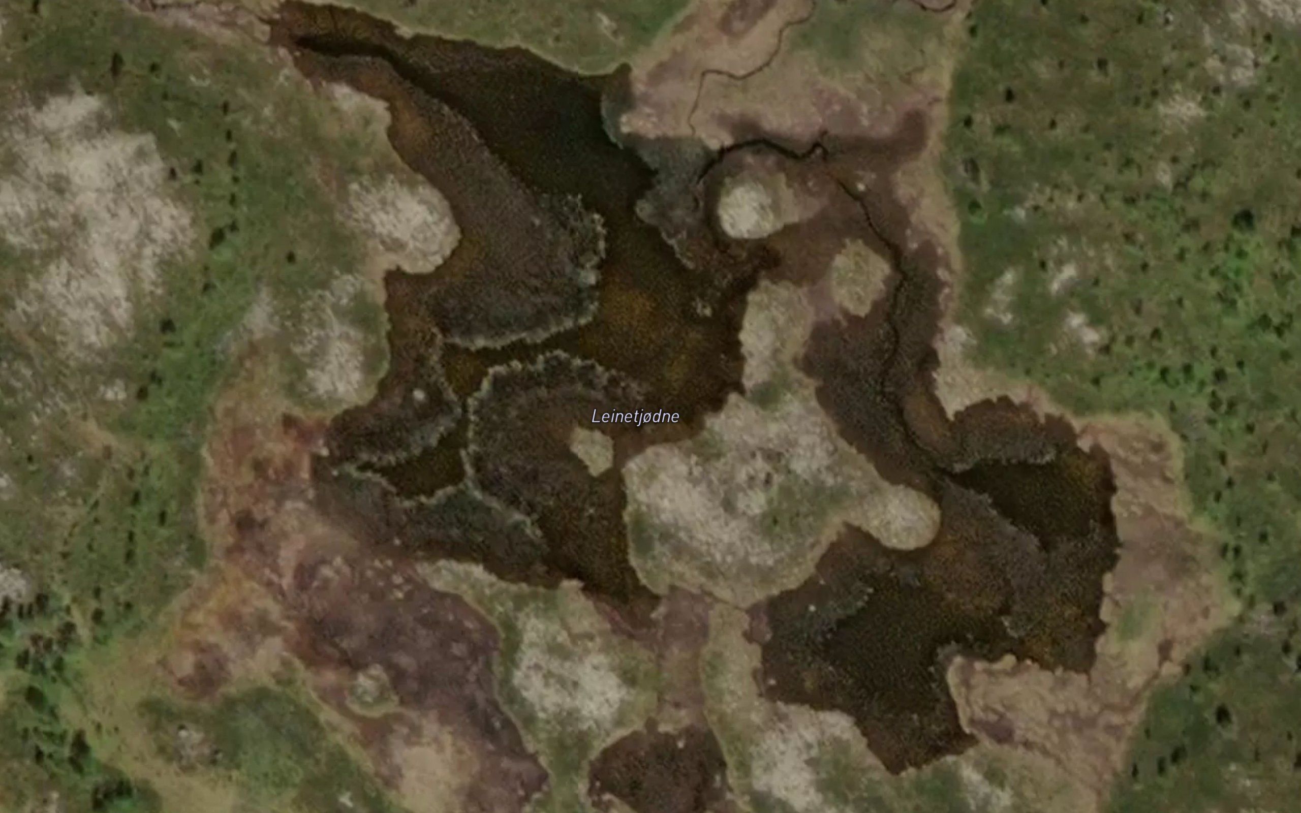 Leinetjodne