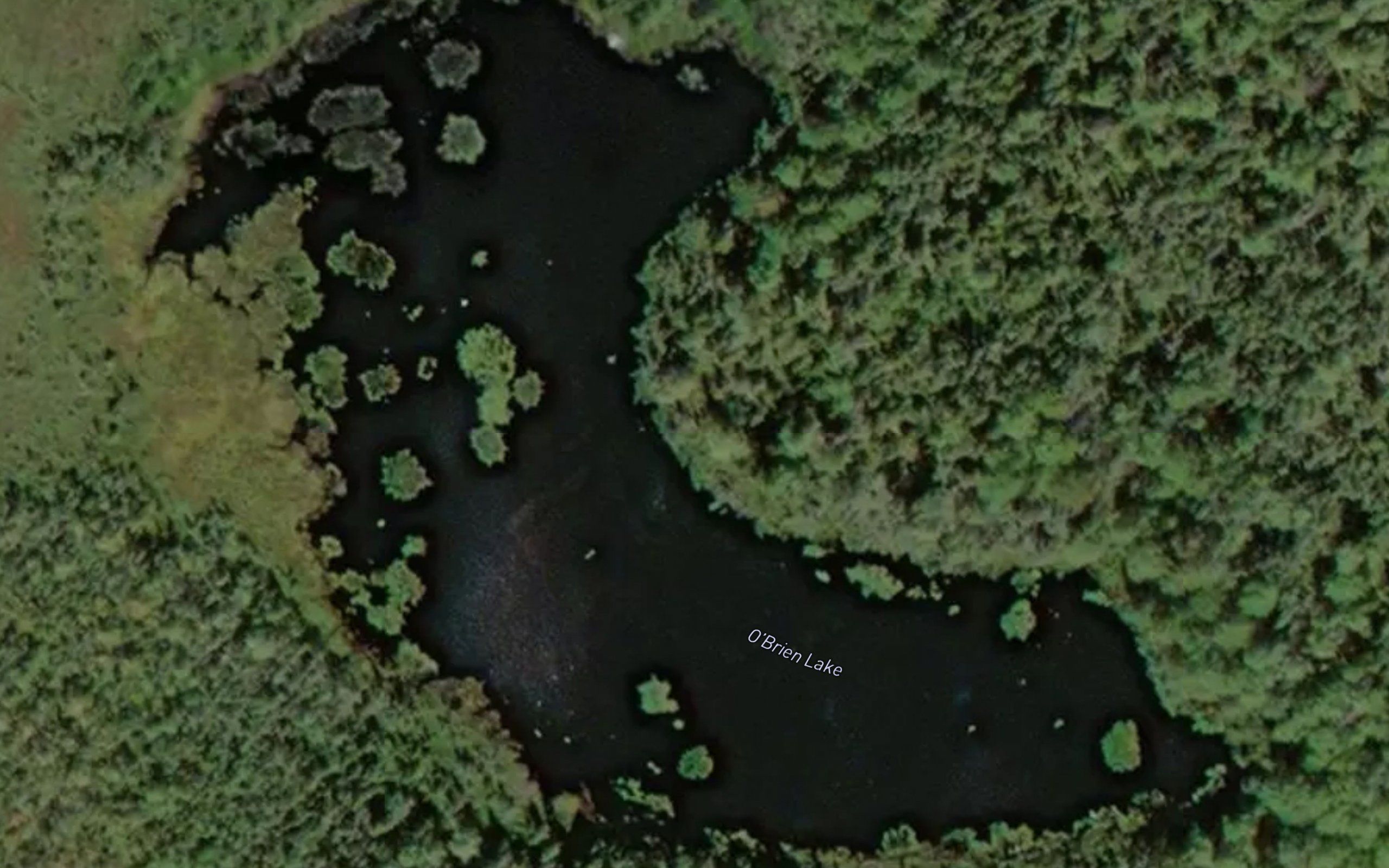 O'Brien Lake