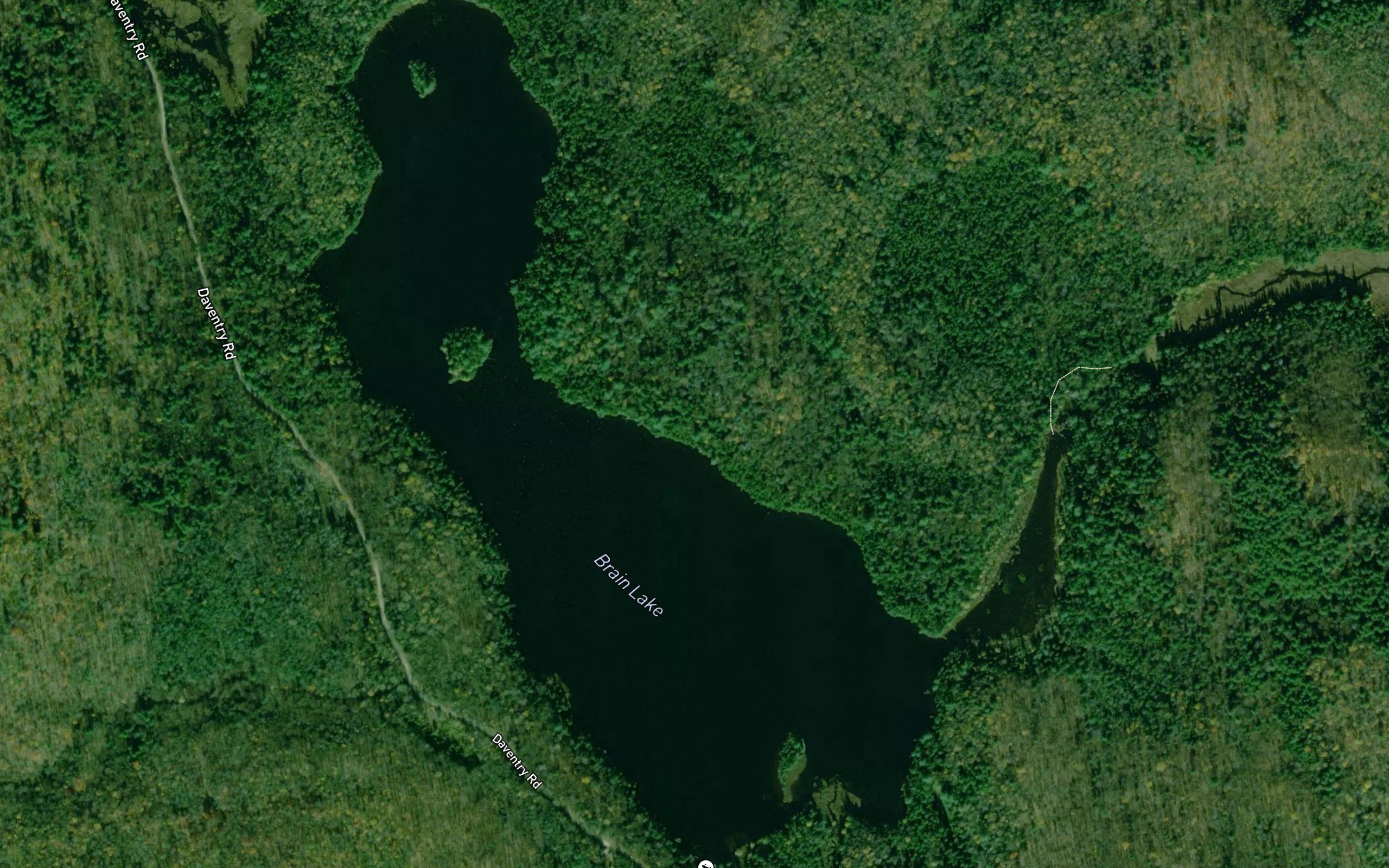 Brain Lake