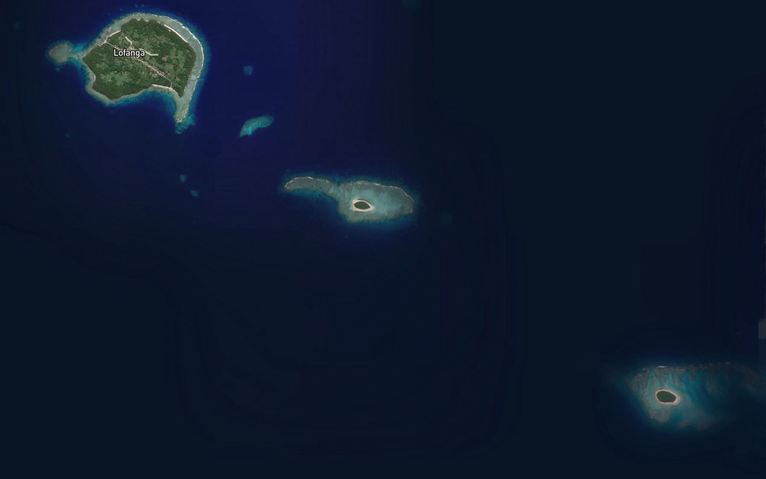 Ava Vaha`afonua