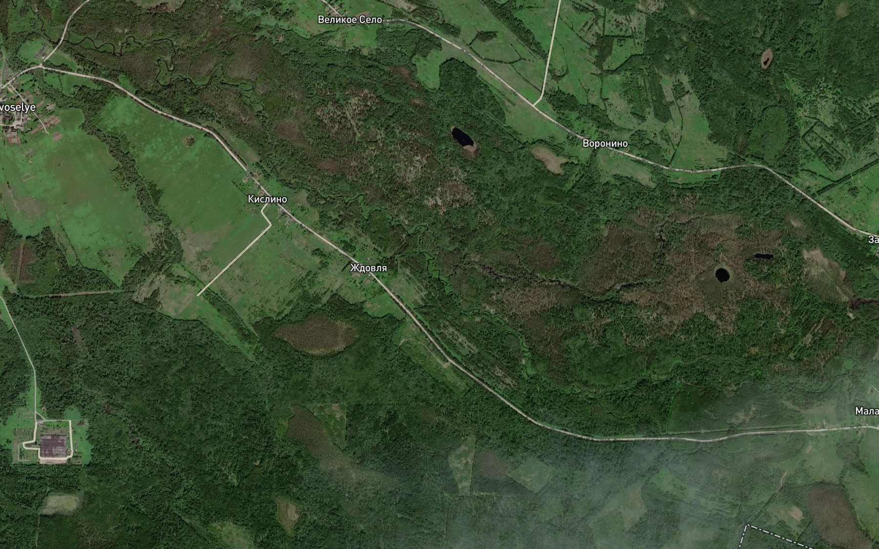 Satellite map of the Molozyn'ye