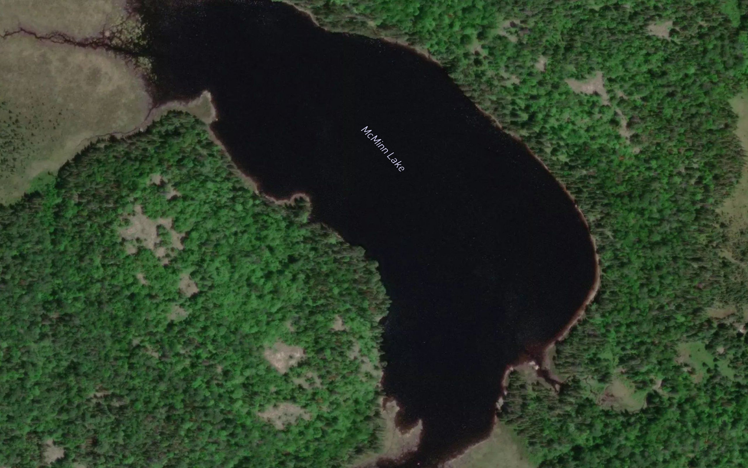 McMinn Lake