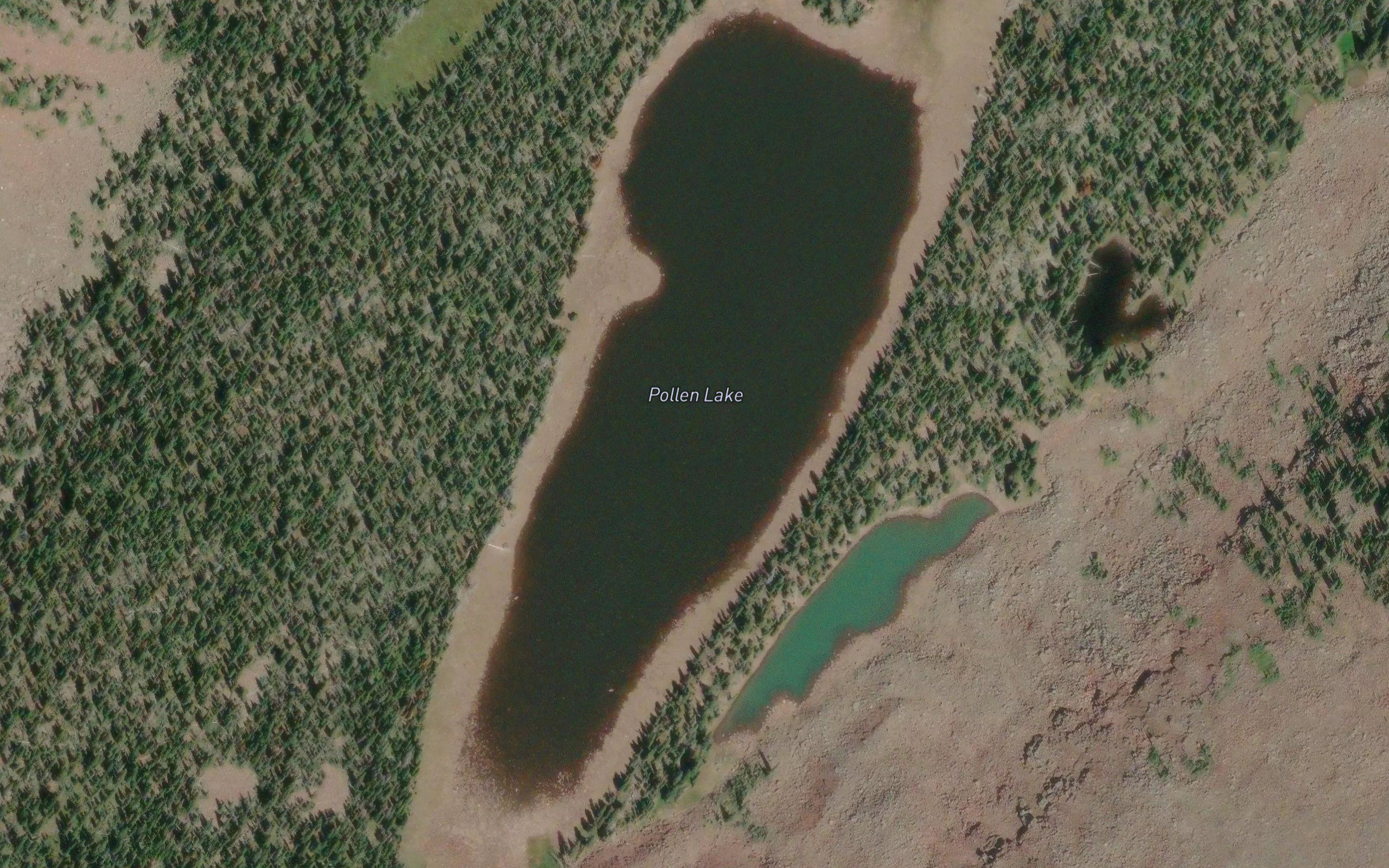 Pollen Lake