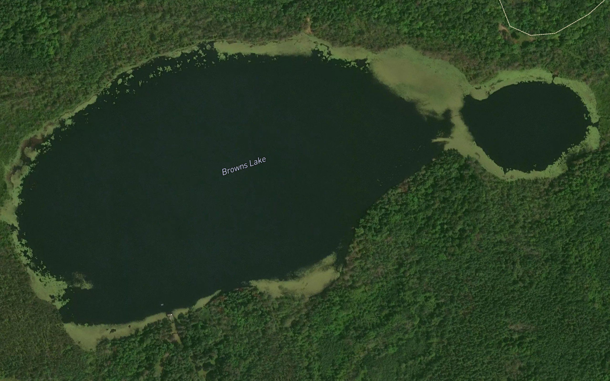 Browns Lake