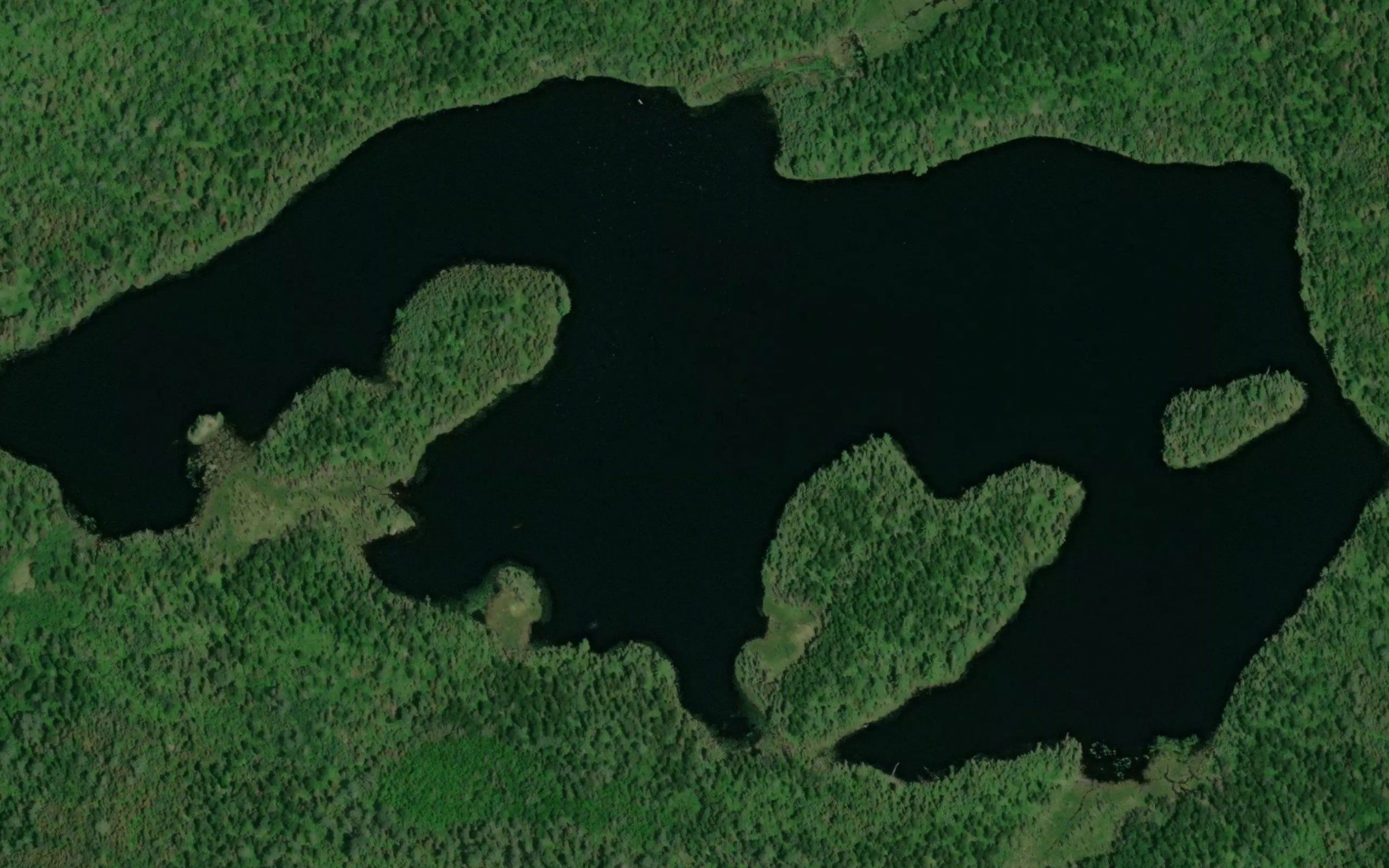 Muzzle Lake