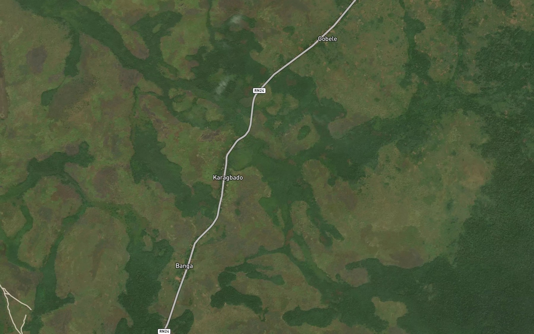 Satellite map of the Gumonzo