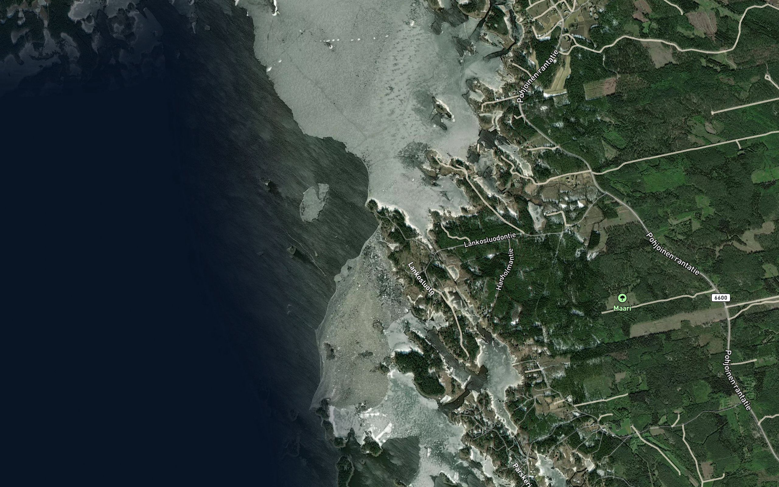 Poeksyviiki