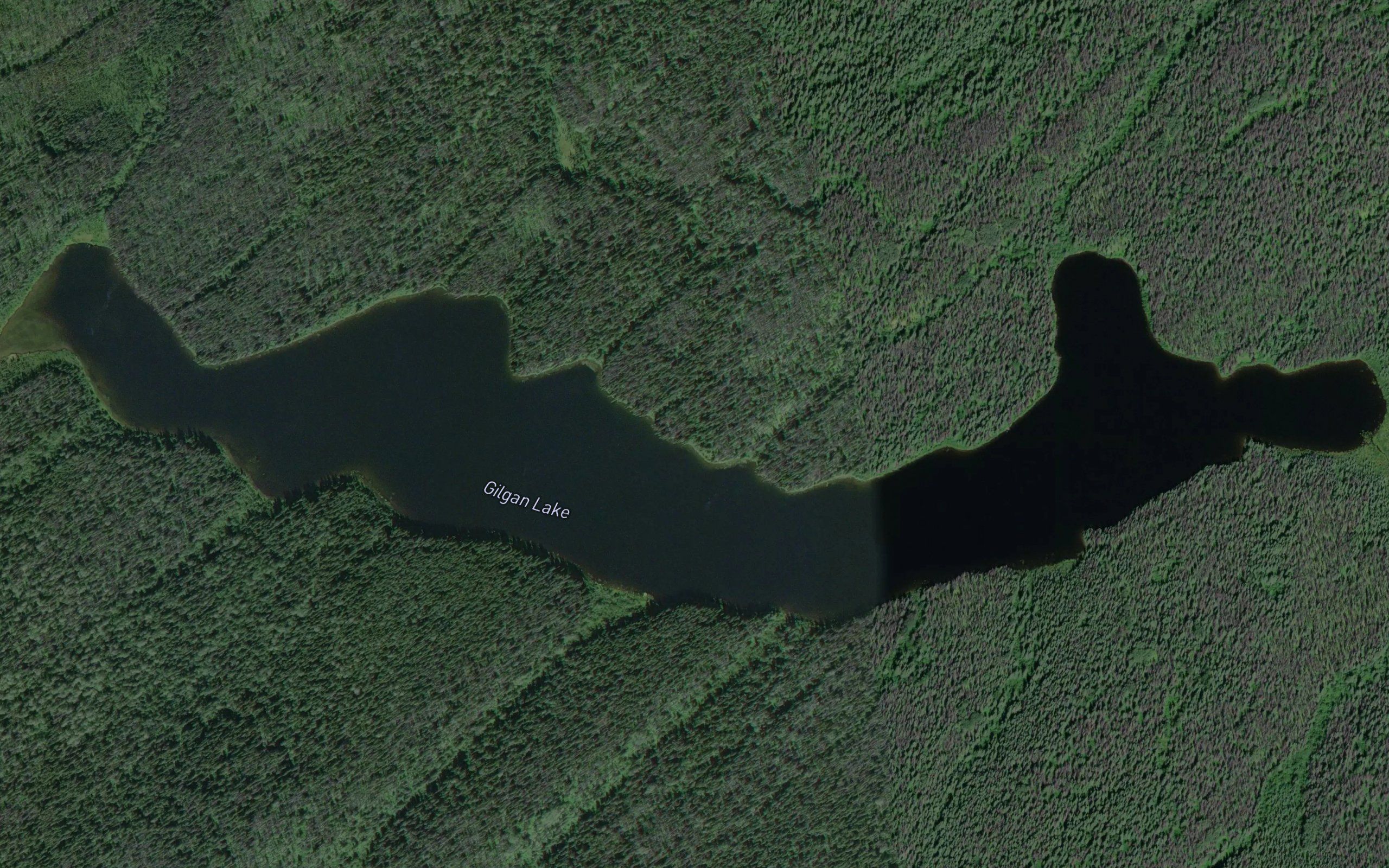 Gilgan Lake