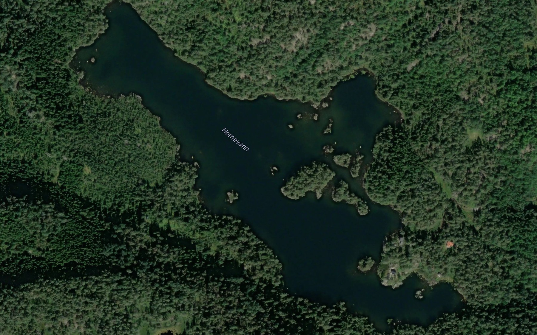 Satellite map of the Homevatn