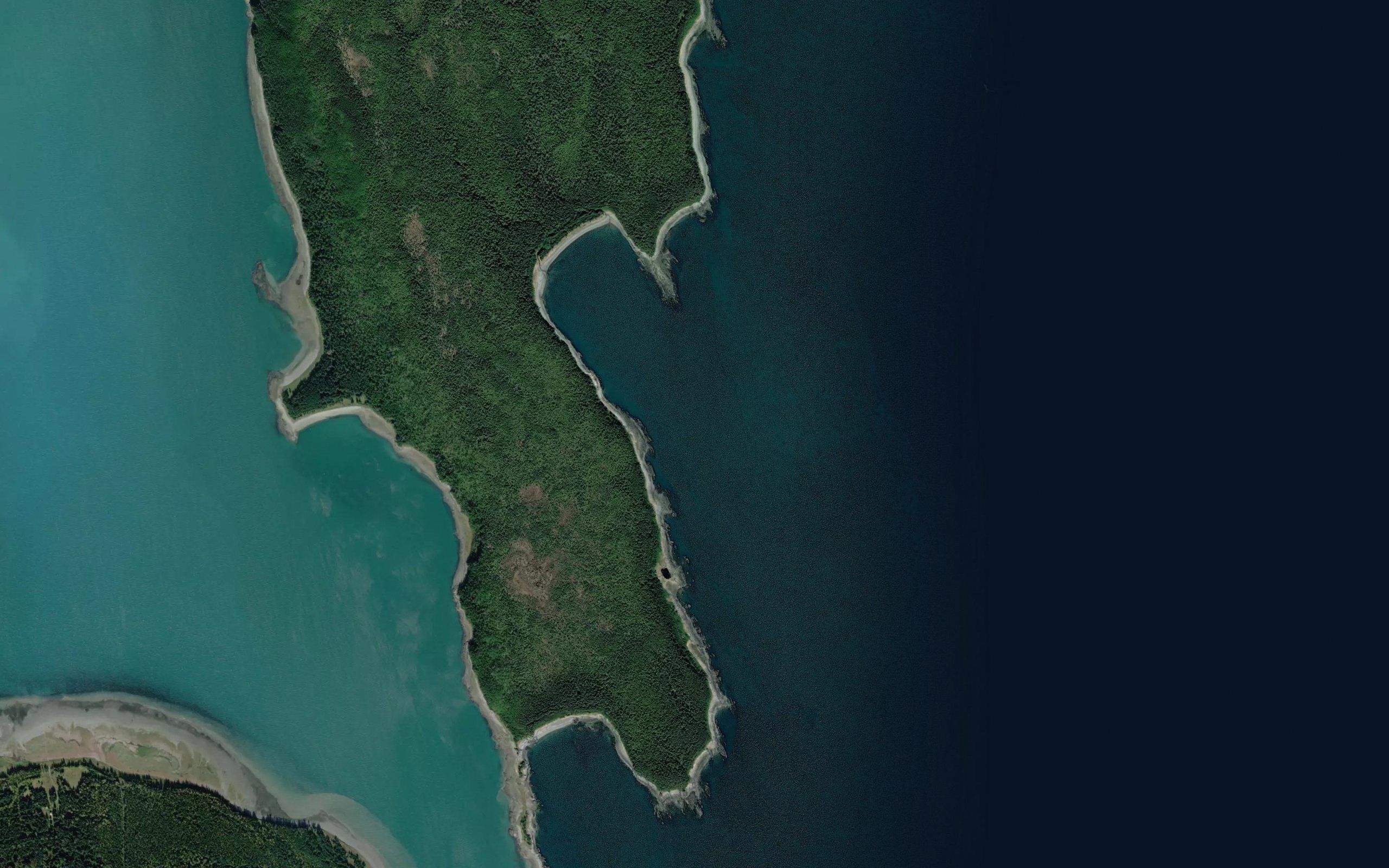 Rescue Harbor
