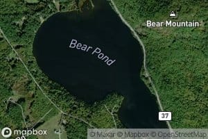 Bear Pond