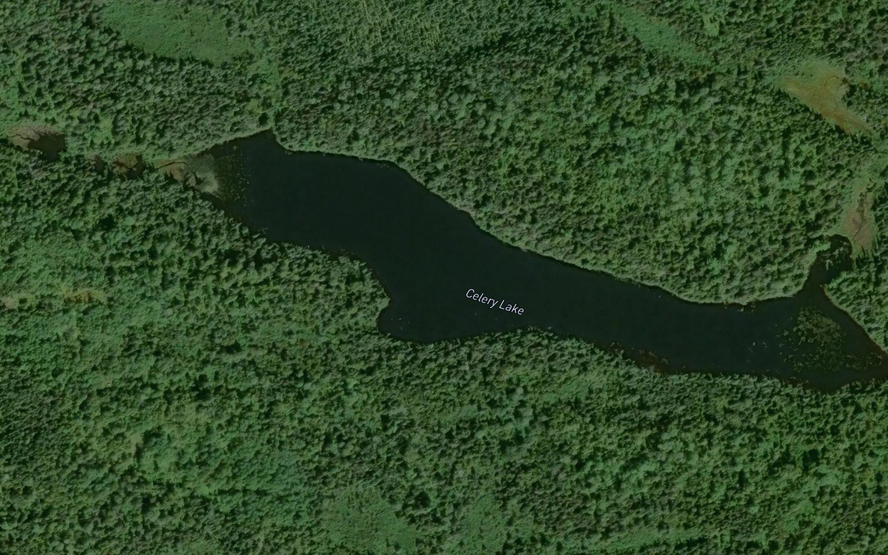 Satellite map of the Celery Lake