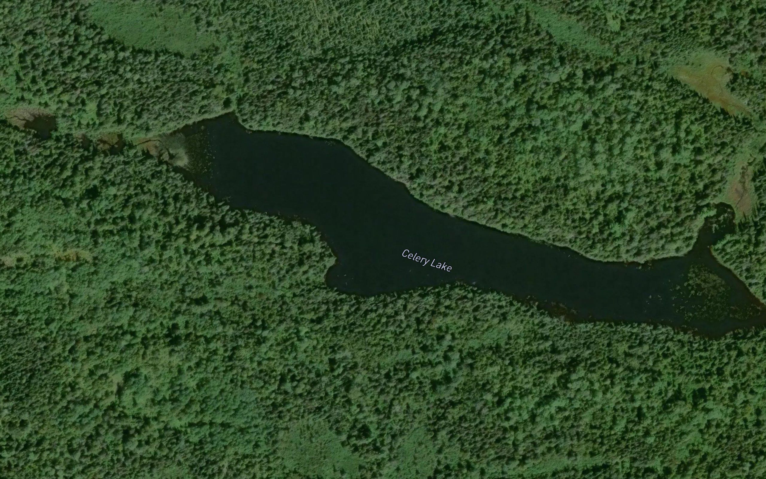 Celery Lake