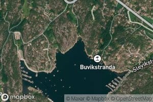 Buvika