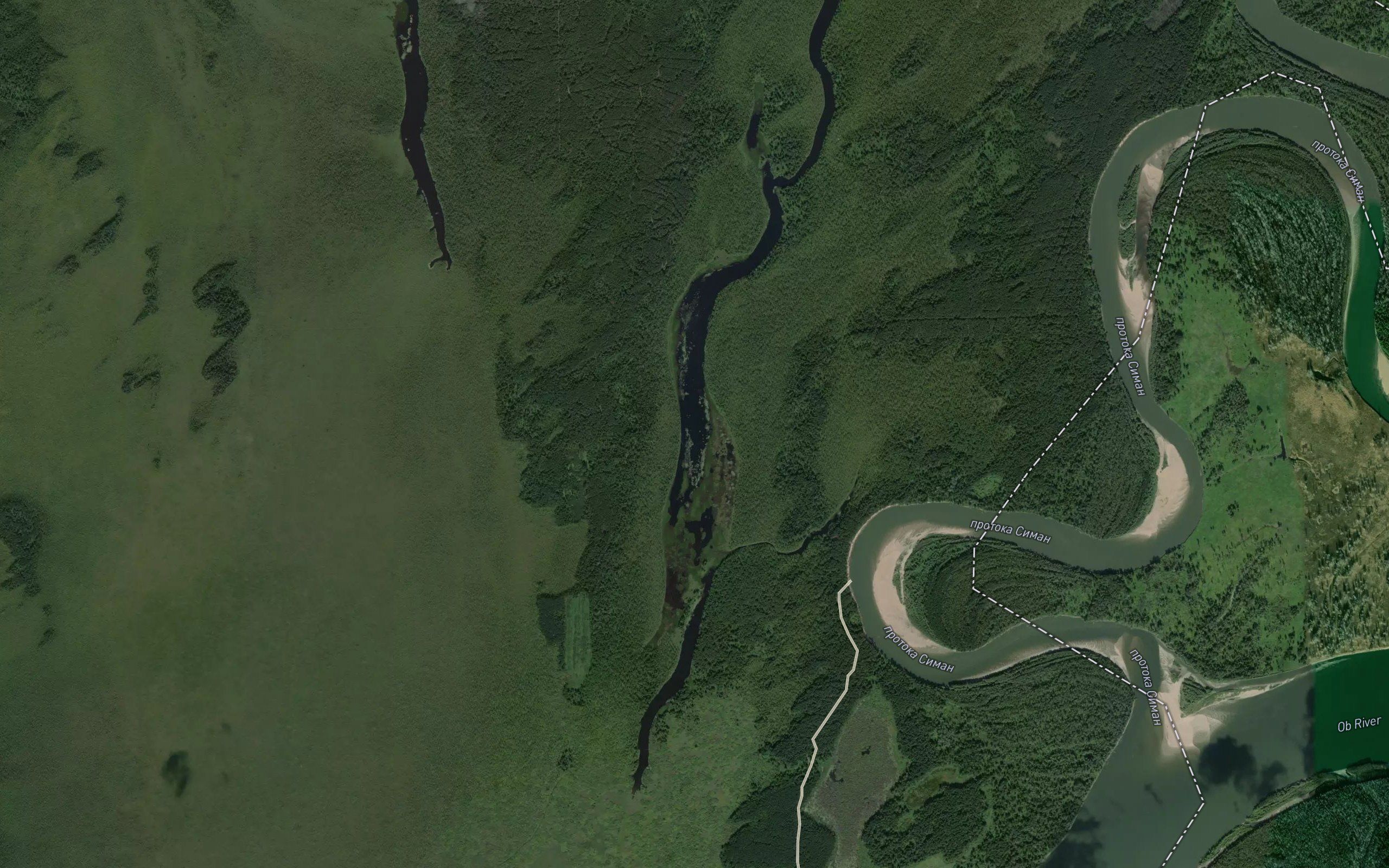 Ozero Linevo