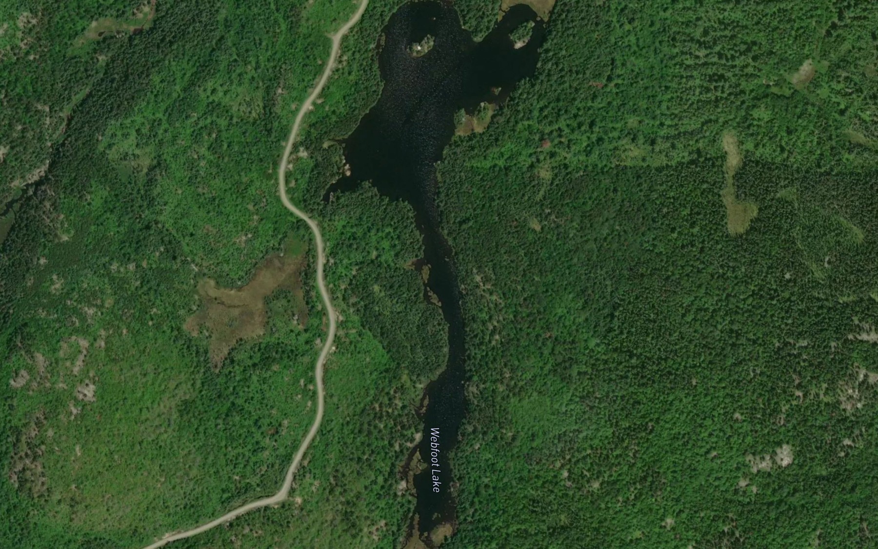Satellite map of the Webfoot Lake