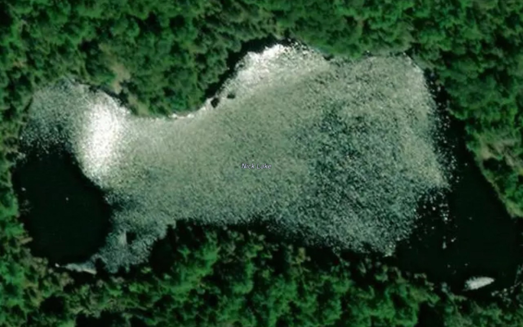 Satellite map of the Nick Lake