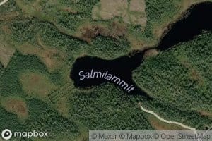 Salmilammit