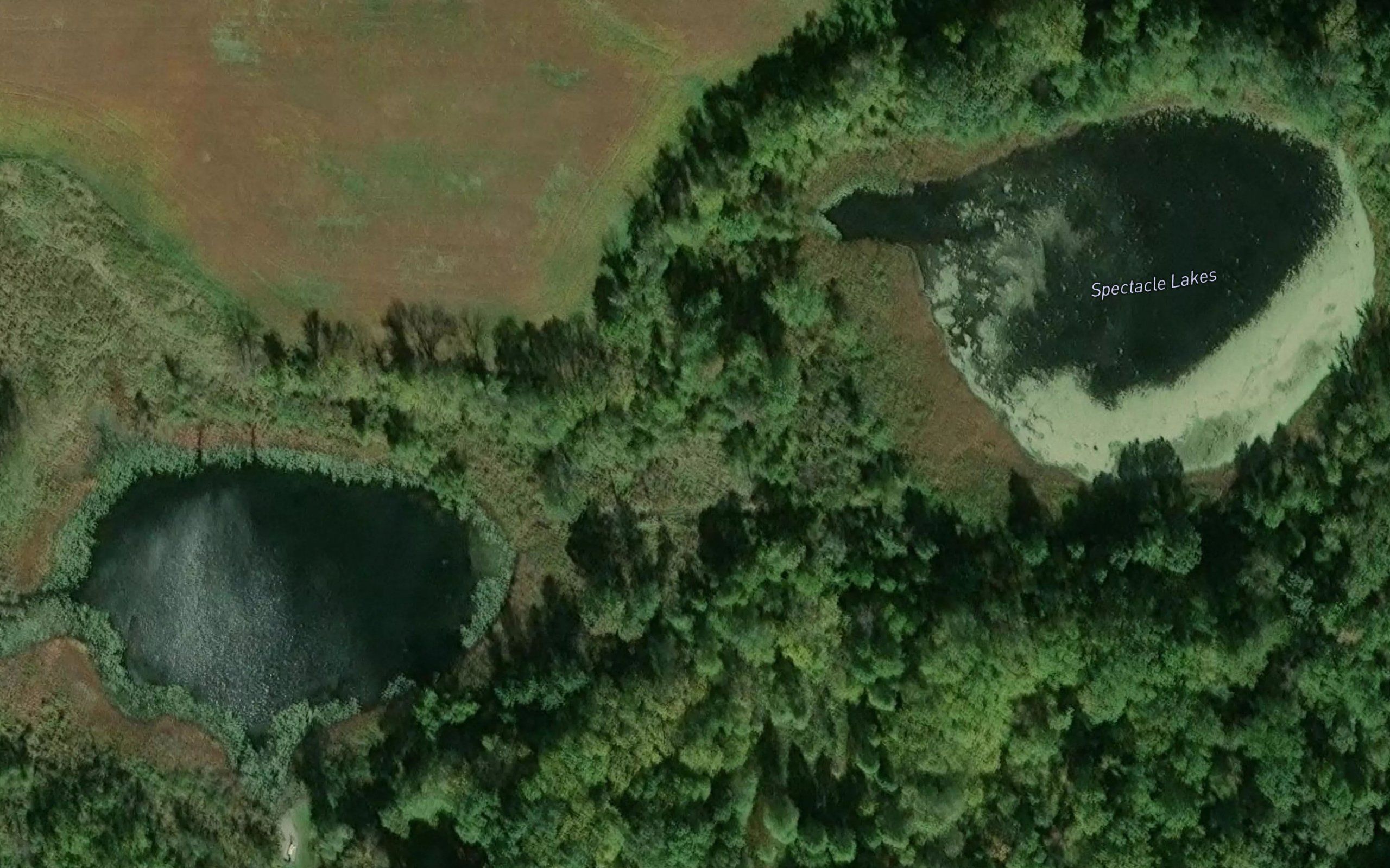 Spectacle Lakes