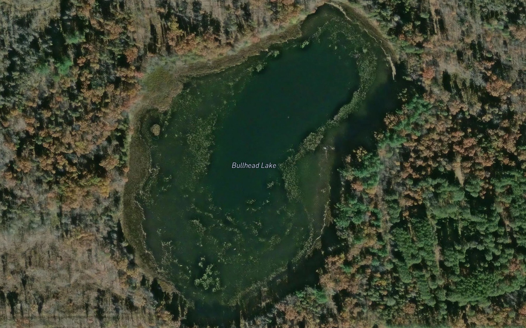 Satellite map of the Bullhead Lake