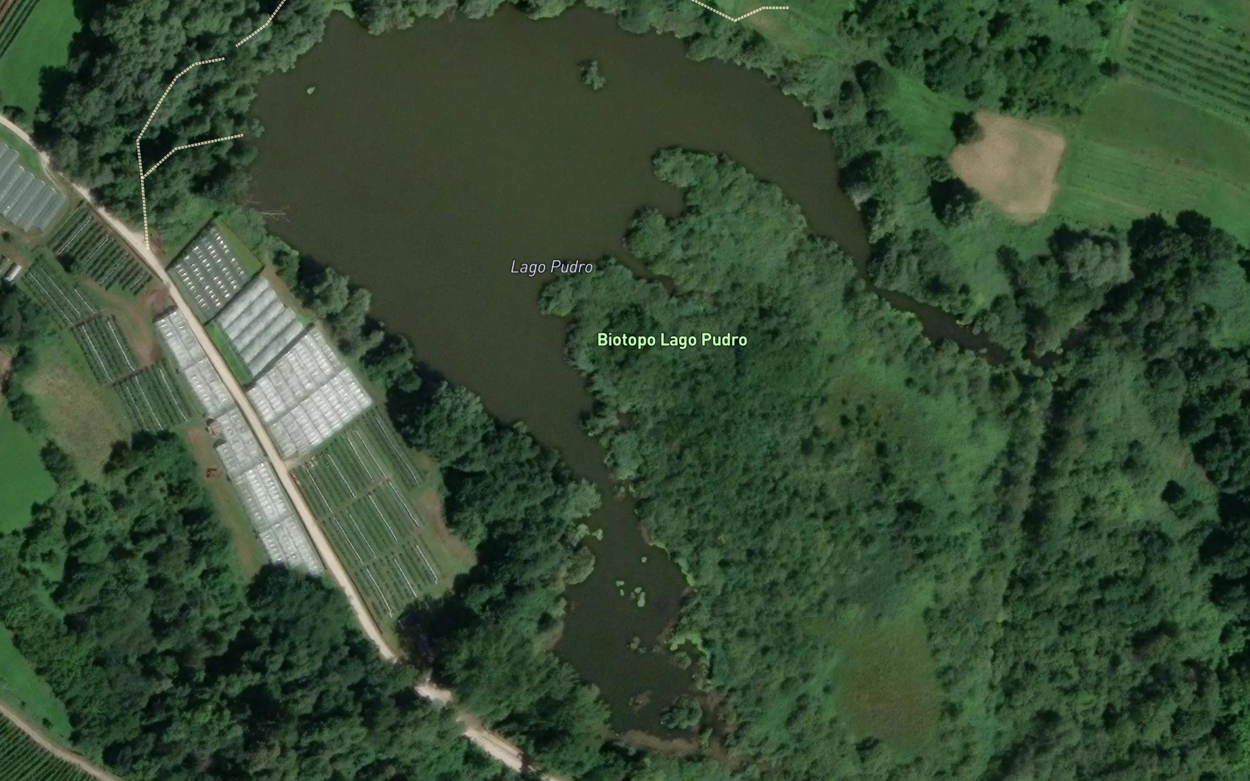Lago Pudro
