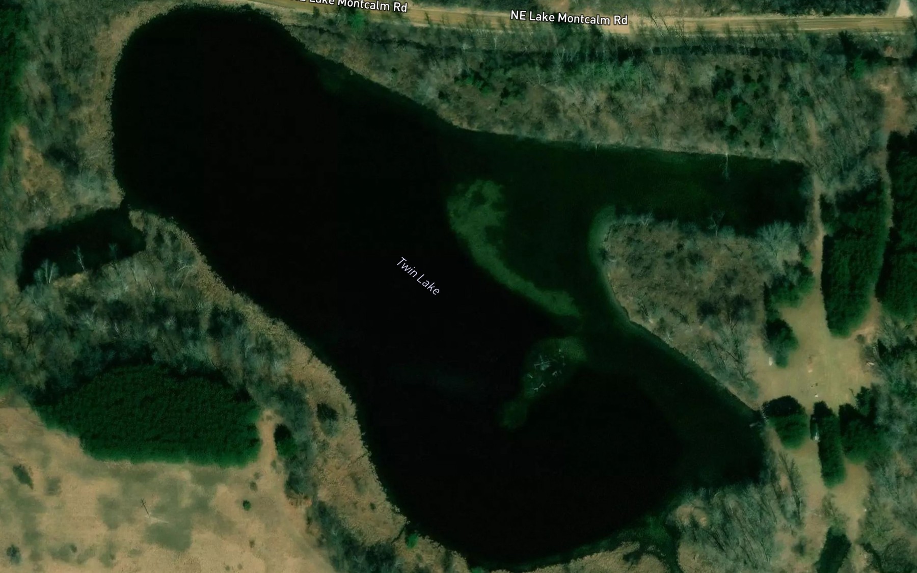 Satellite map of the Twin Lake