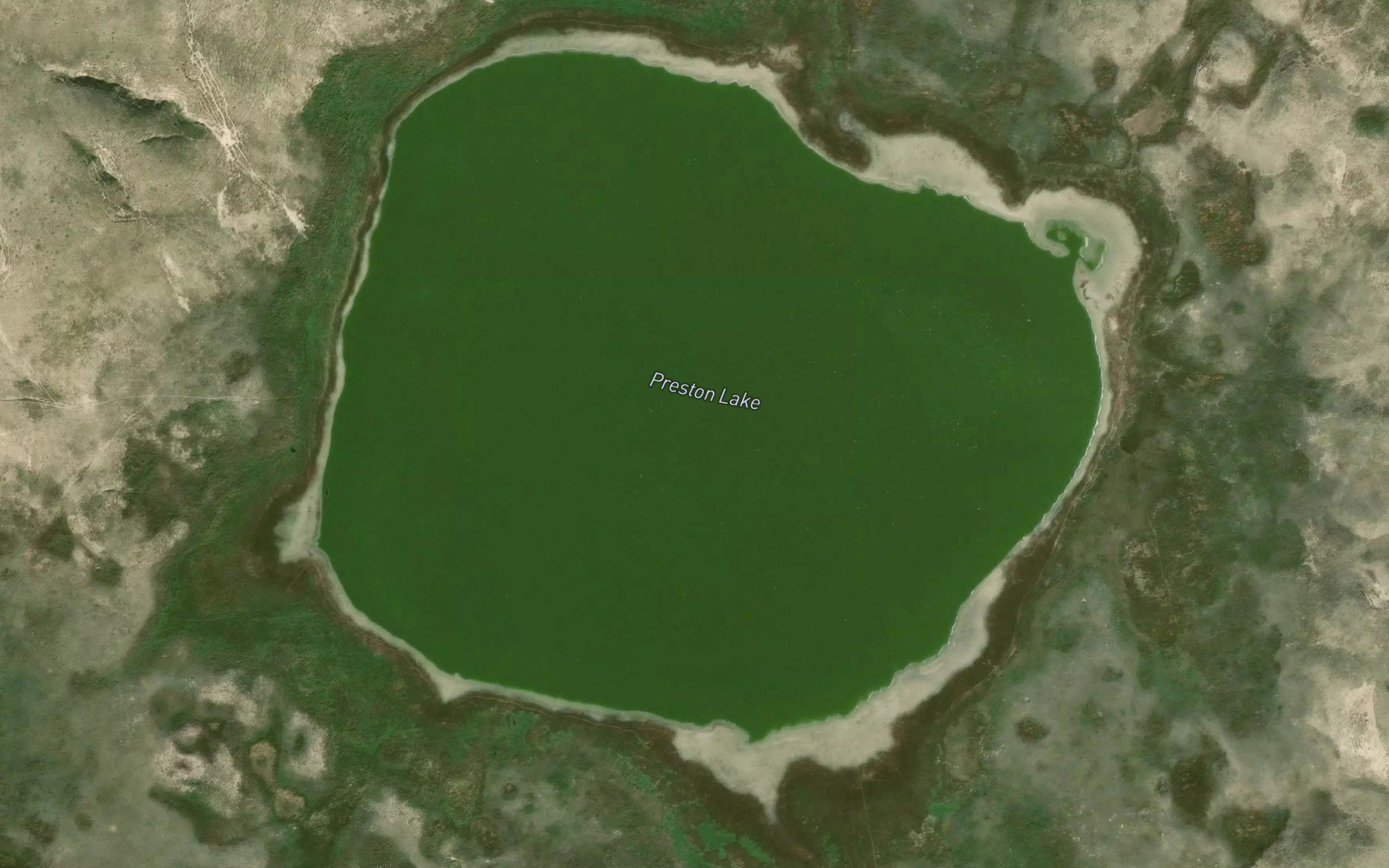 Preston Lake