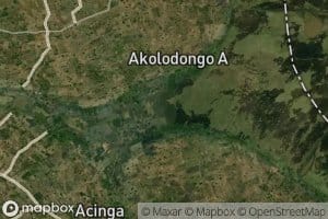 Akolodongo