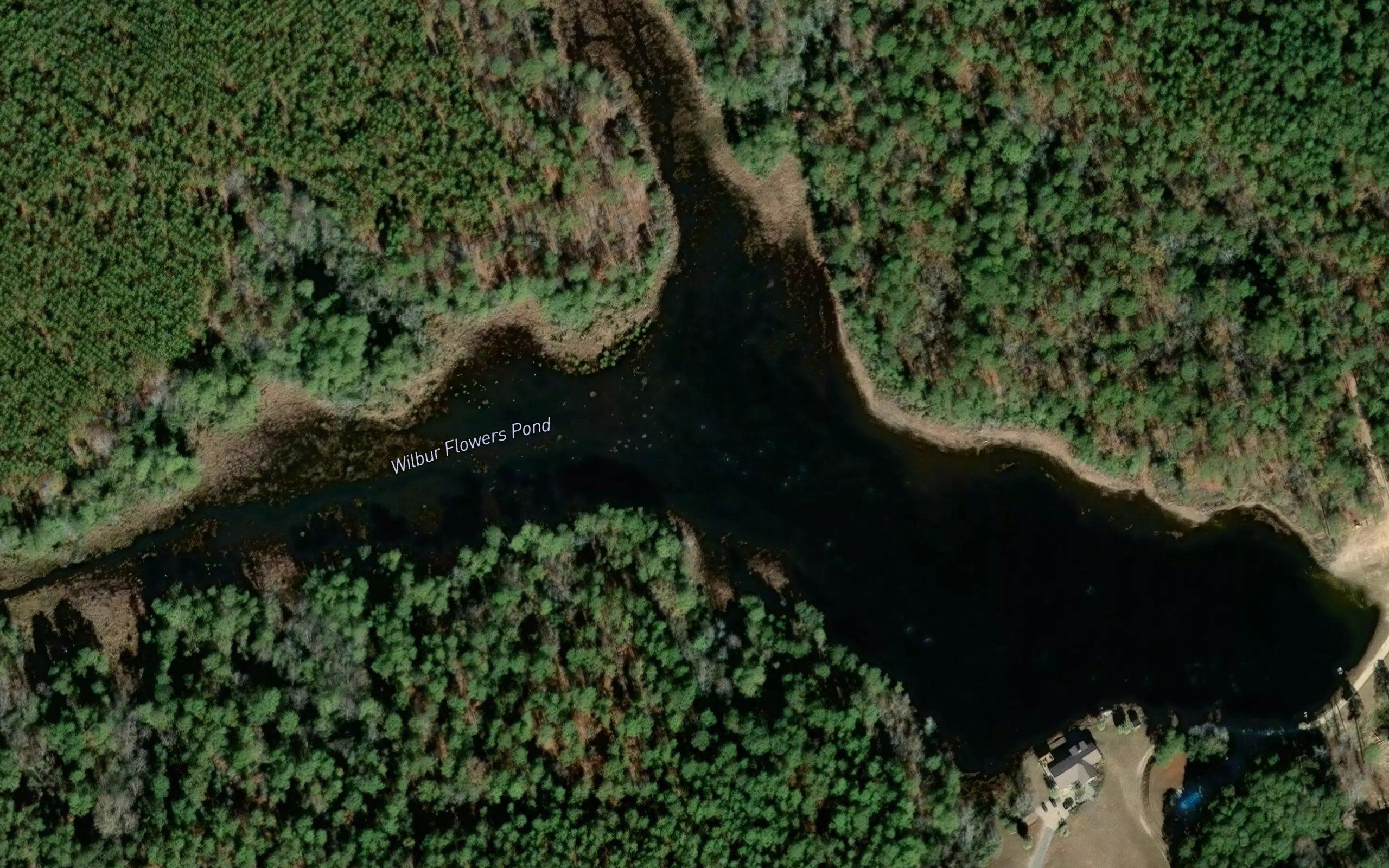 Wilbur Flowers Pond