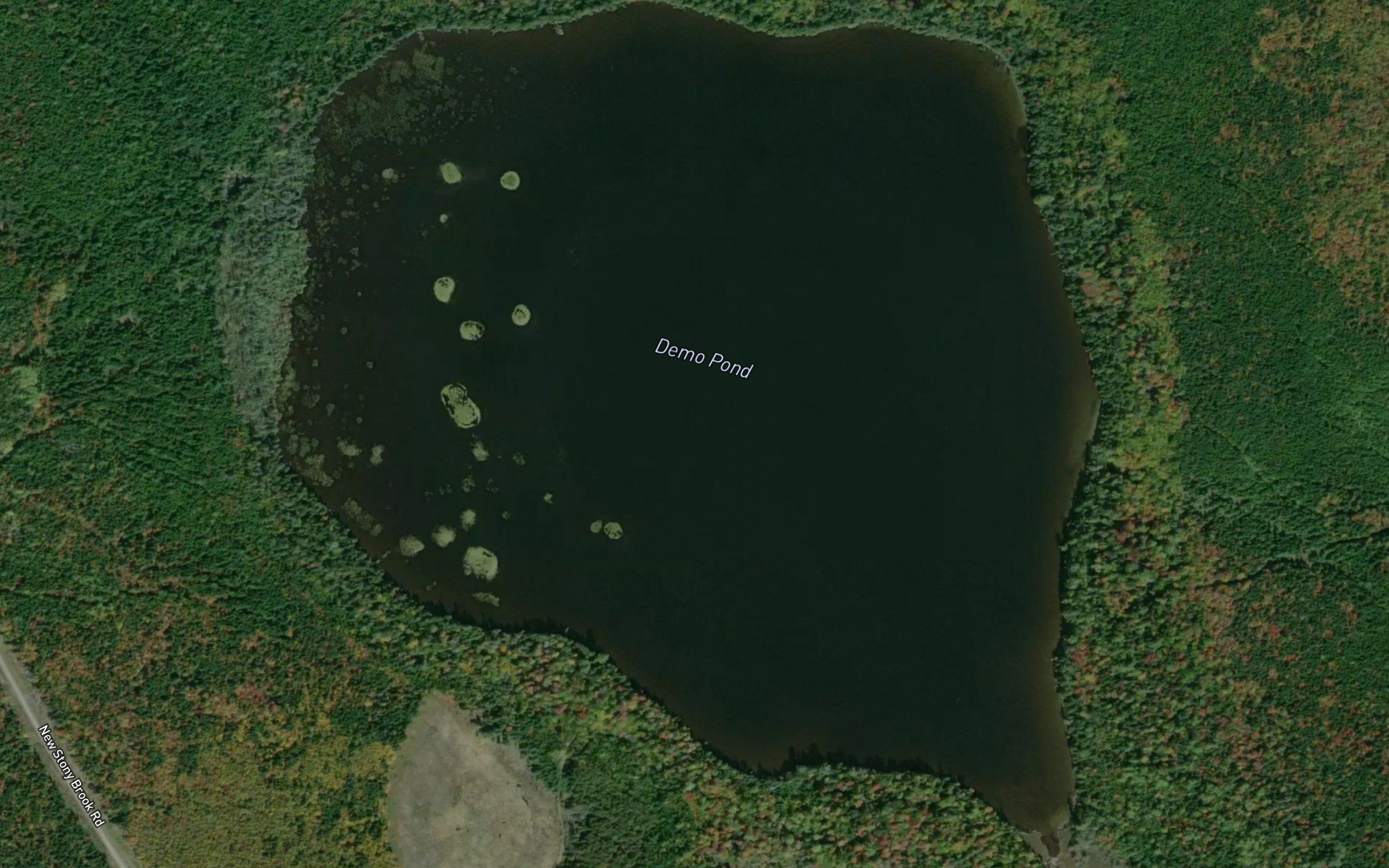 Demo Pond