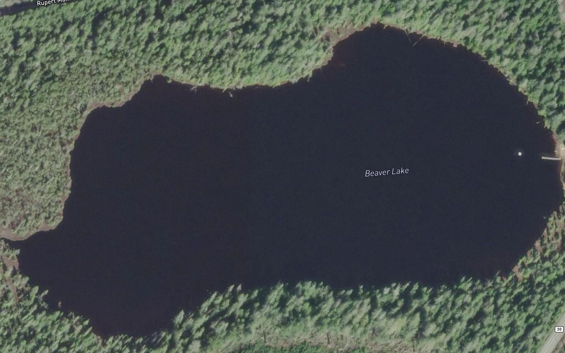 Satellite map of the Beaver Lake