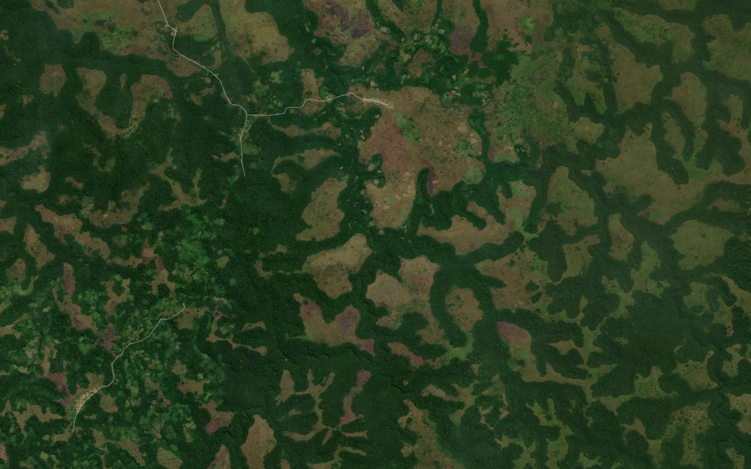 Kashindi
