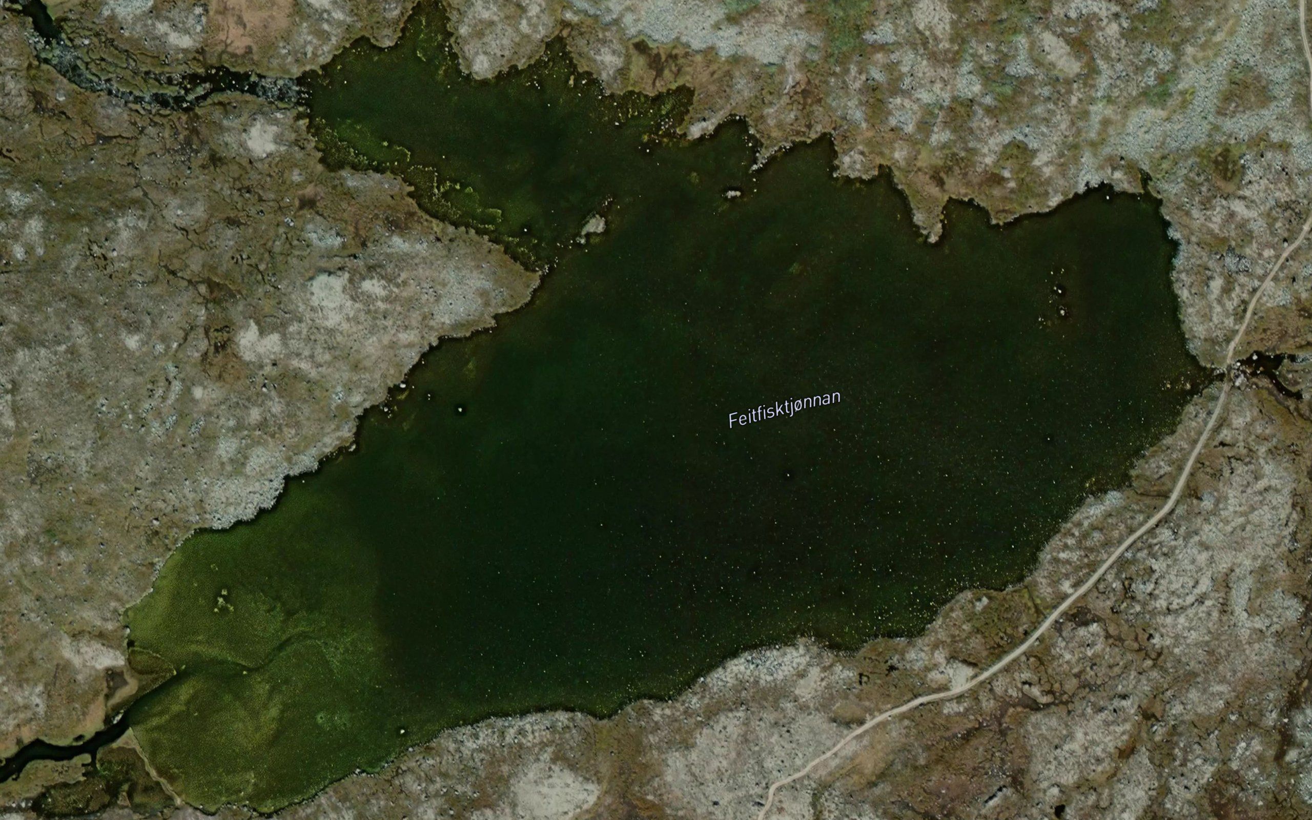 Bakketjornan