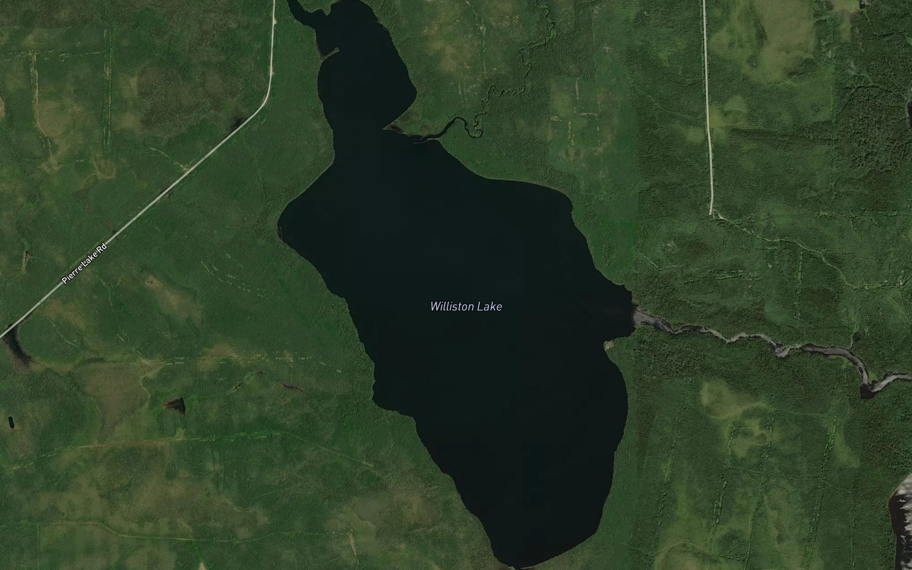 Satellite map of the Williston Lake