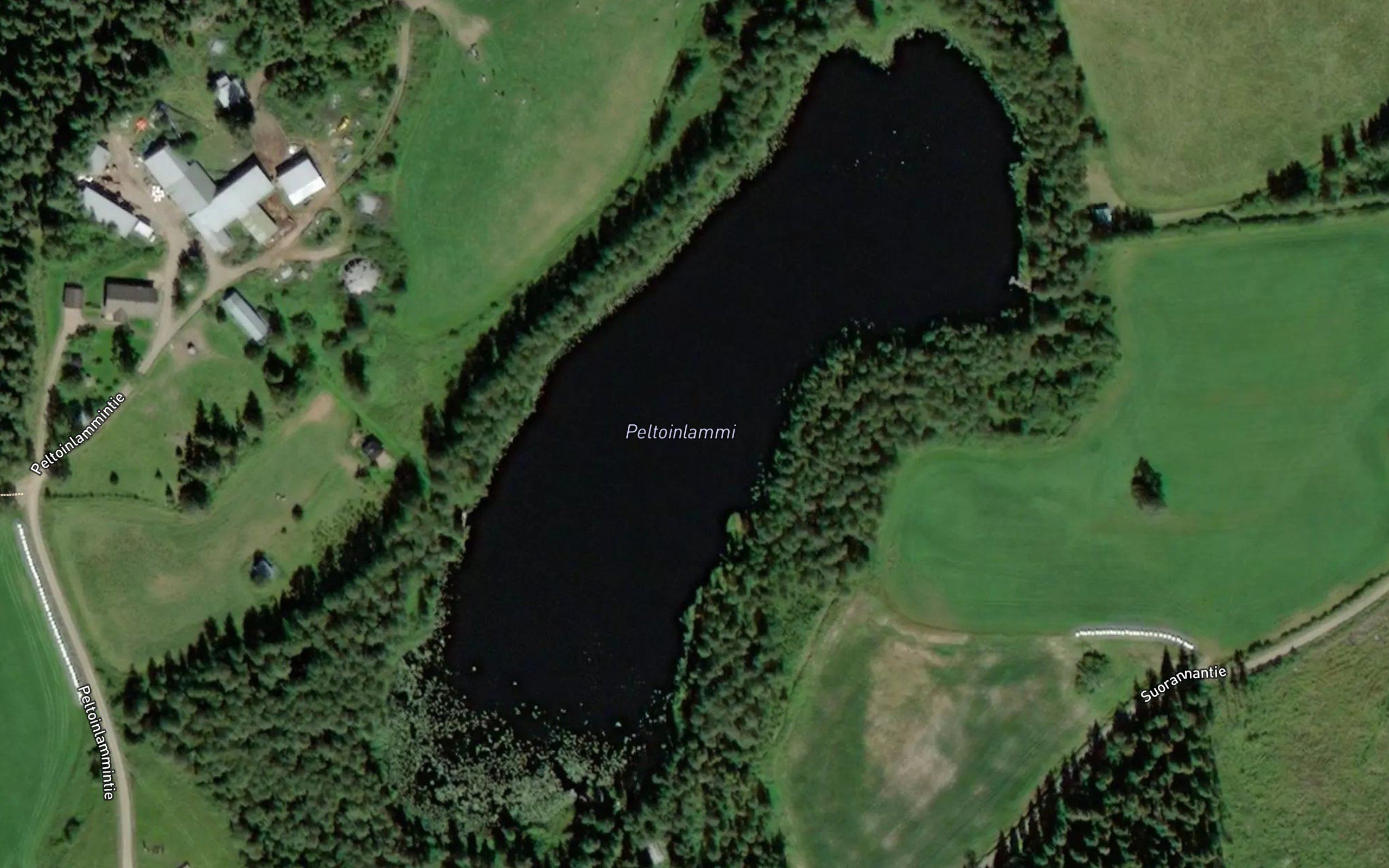 Peltoinlammi