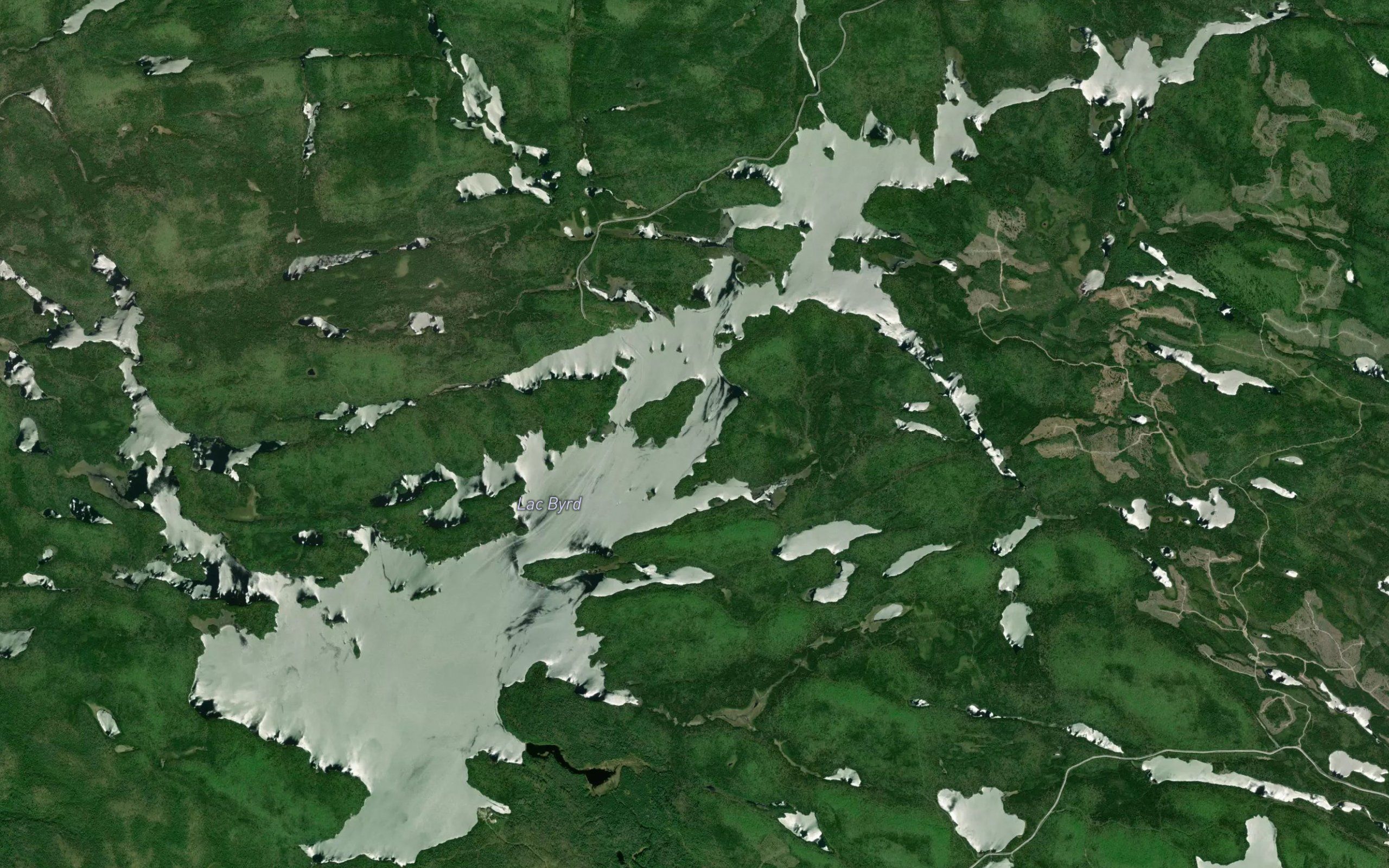 Lac Byrd