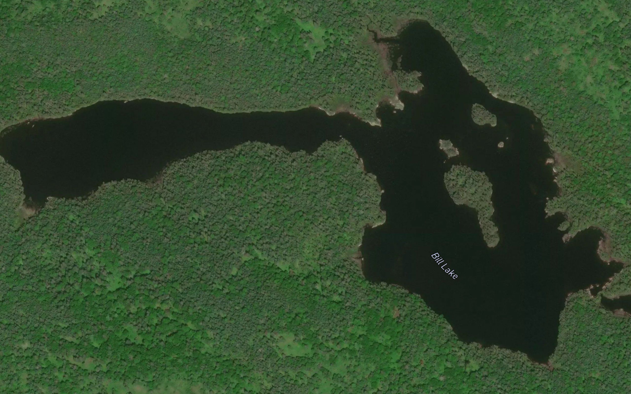Bill Lake
