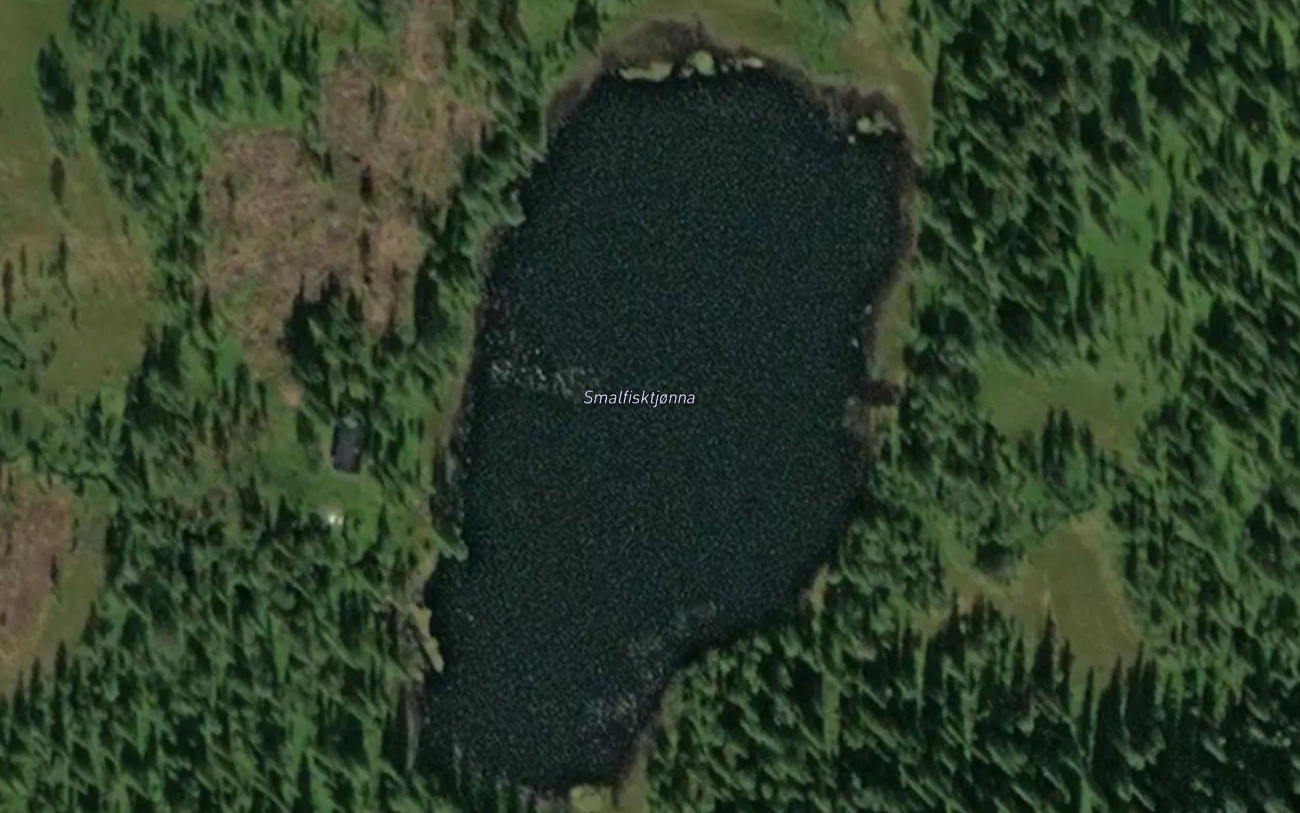Smalfisktjonna