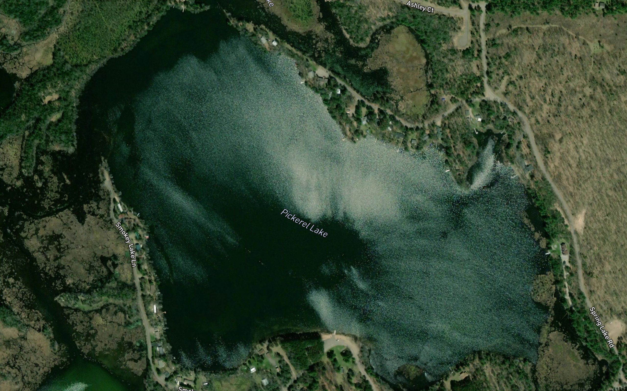 Pickerel Lake