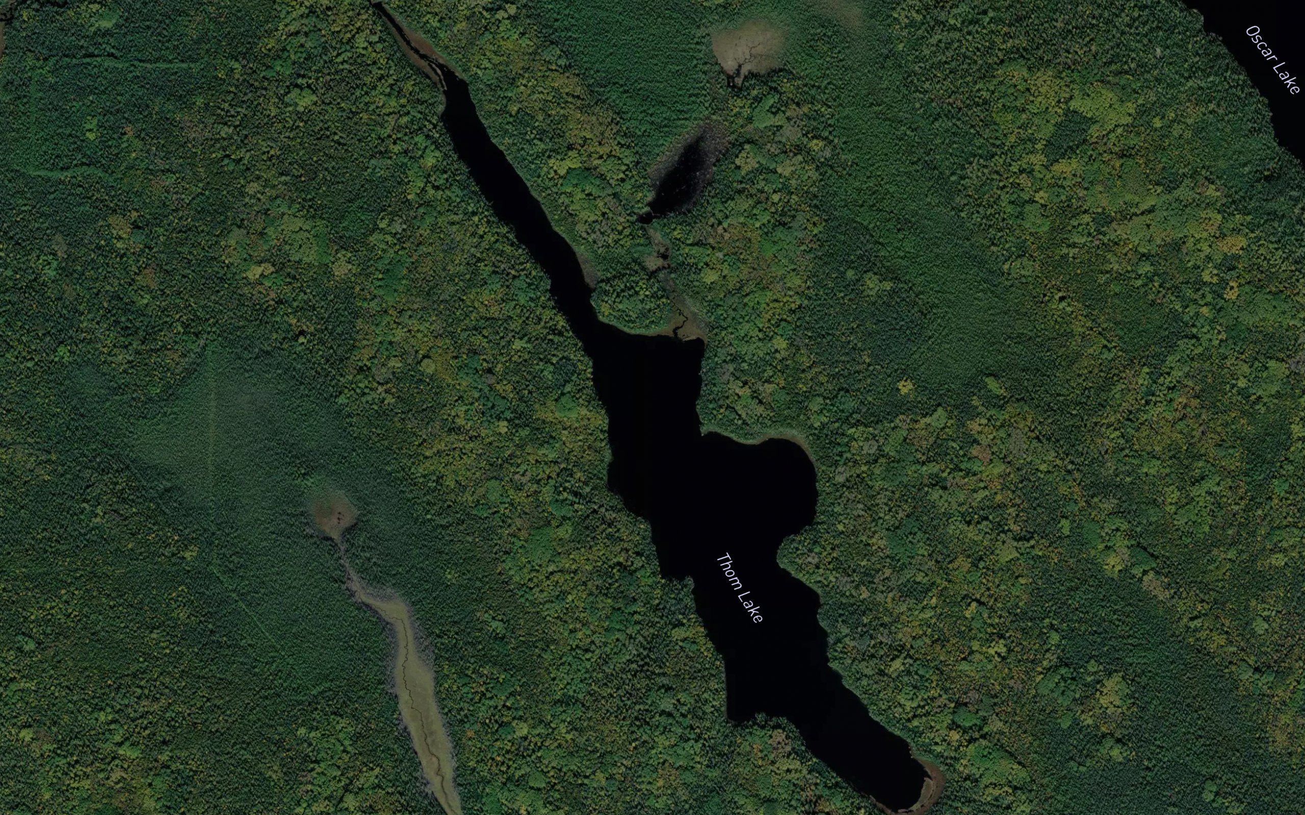Thom Lake
