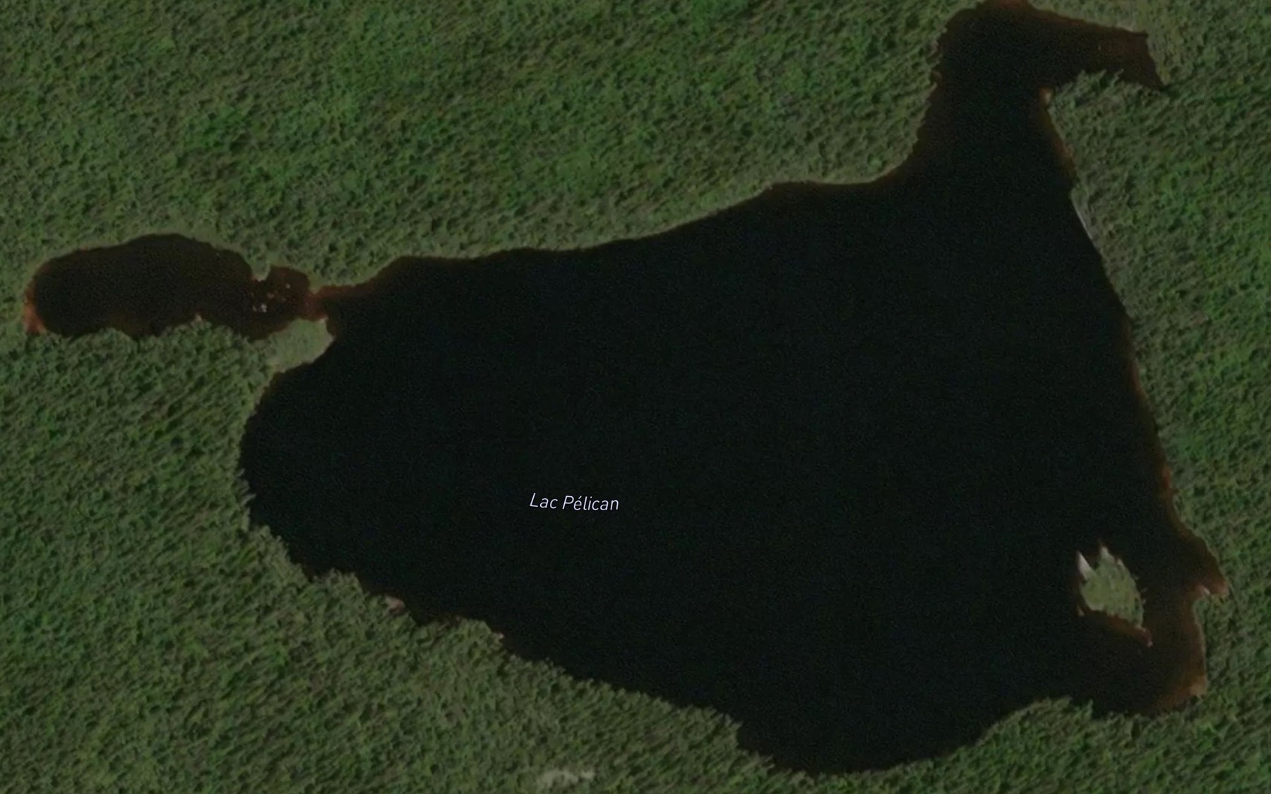 Satellite map of the Lac Pelican