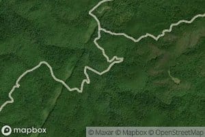 Sulphur Springs Branch