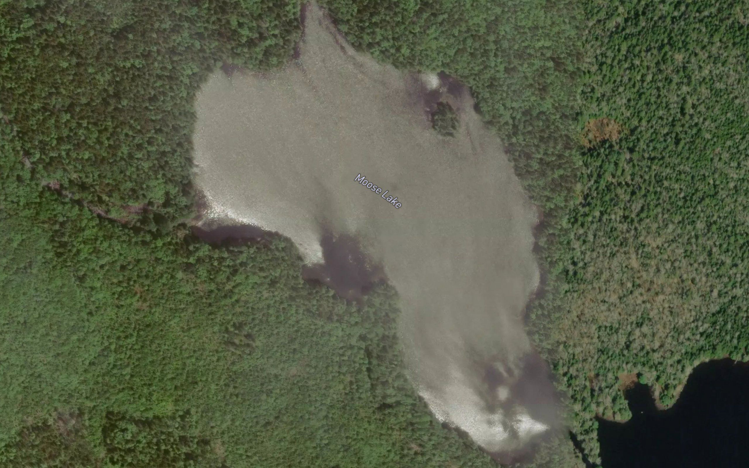 Moose Lake