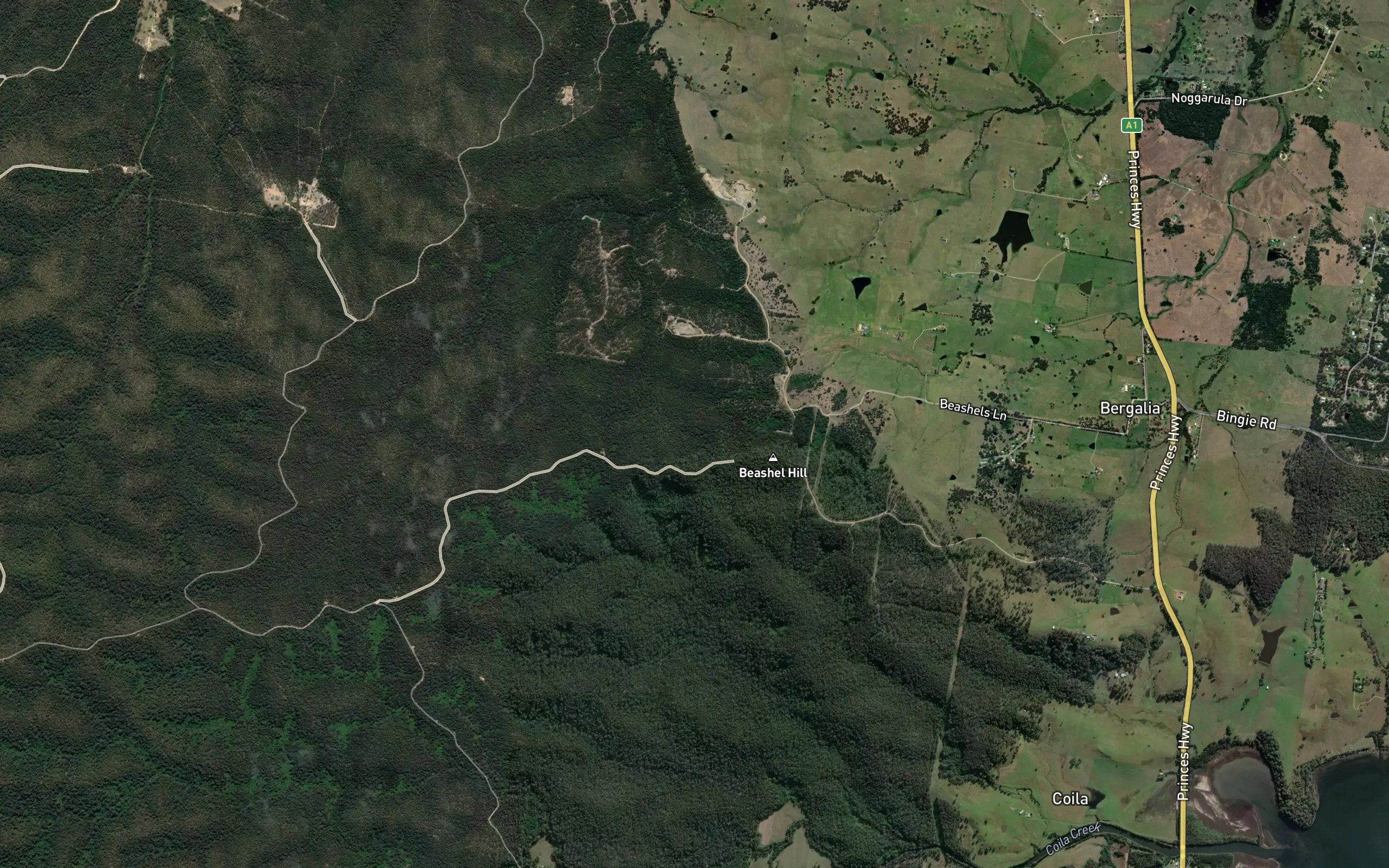 Ryans Gully