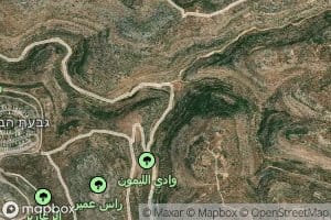 'Ayn az Zarqa'