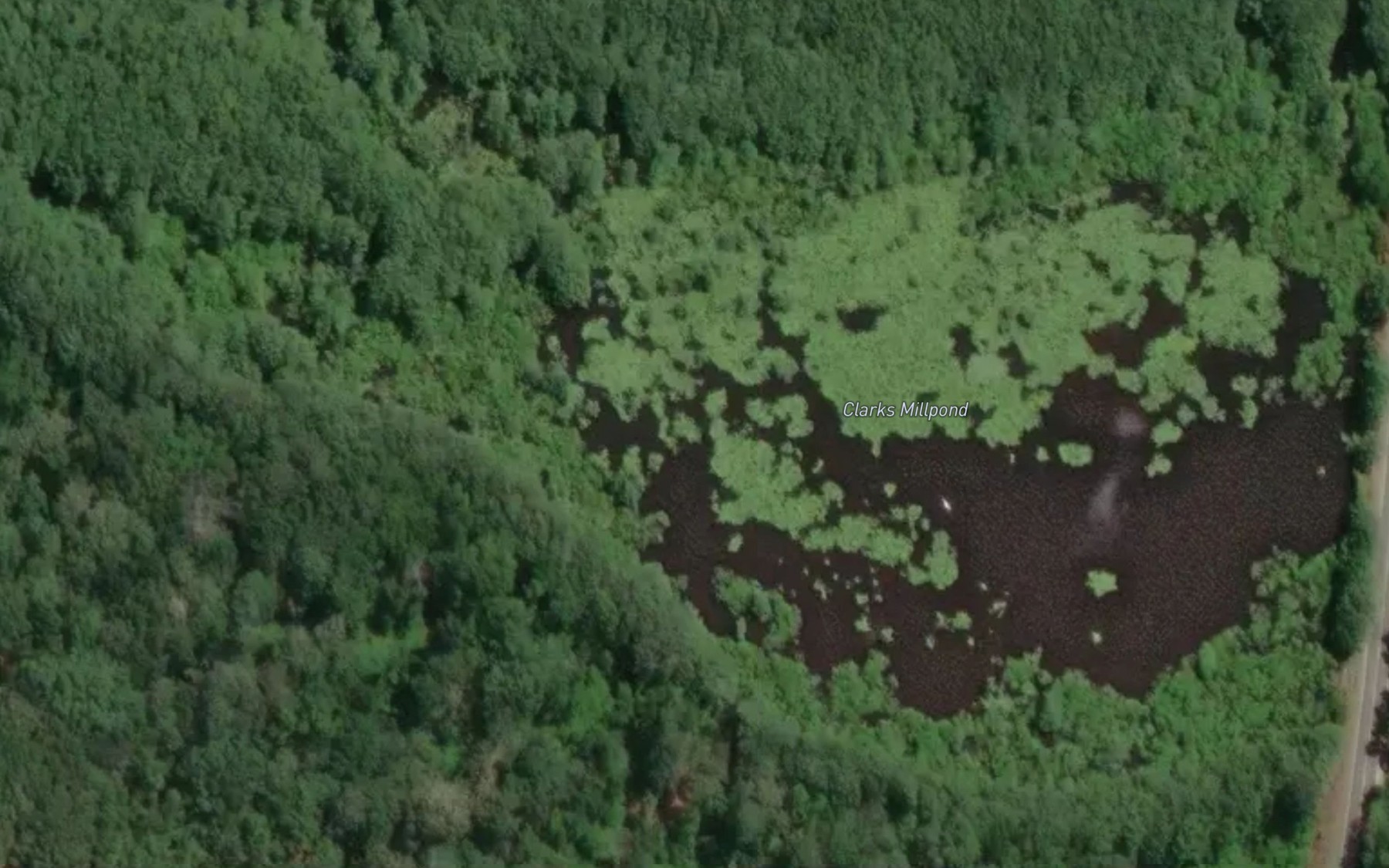 Satellite map of the Clarks Millpond Dam