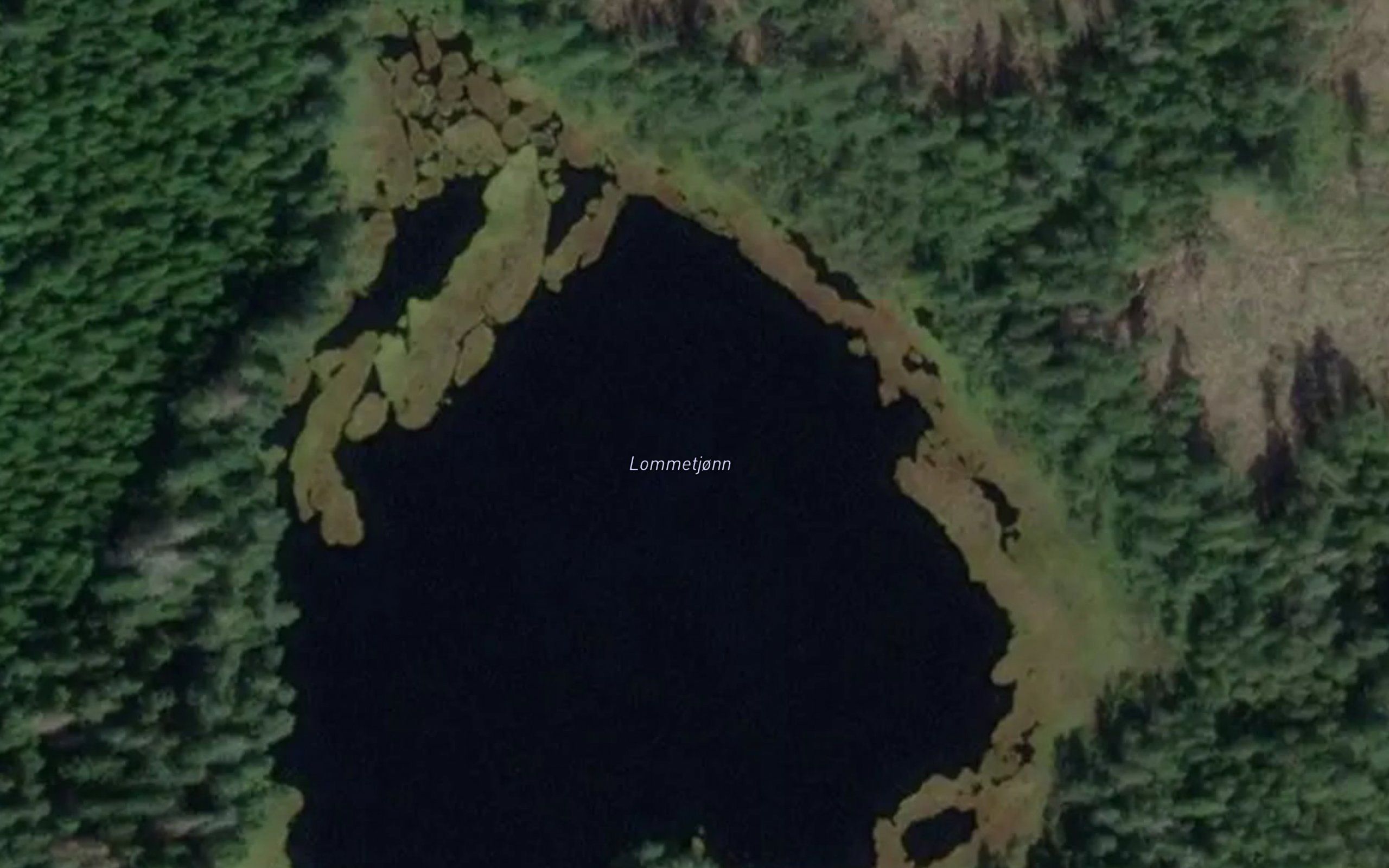 Lometjorn
