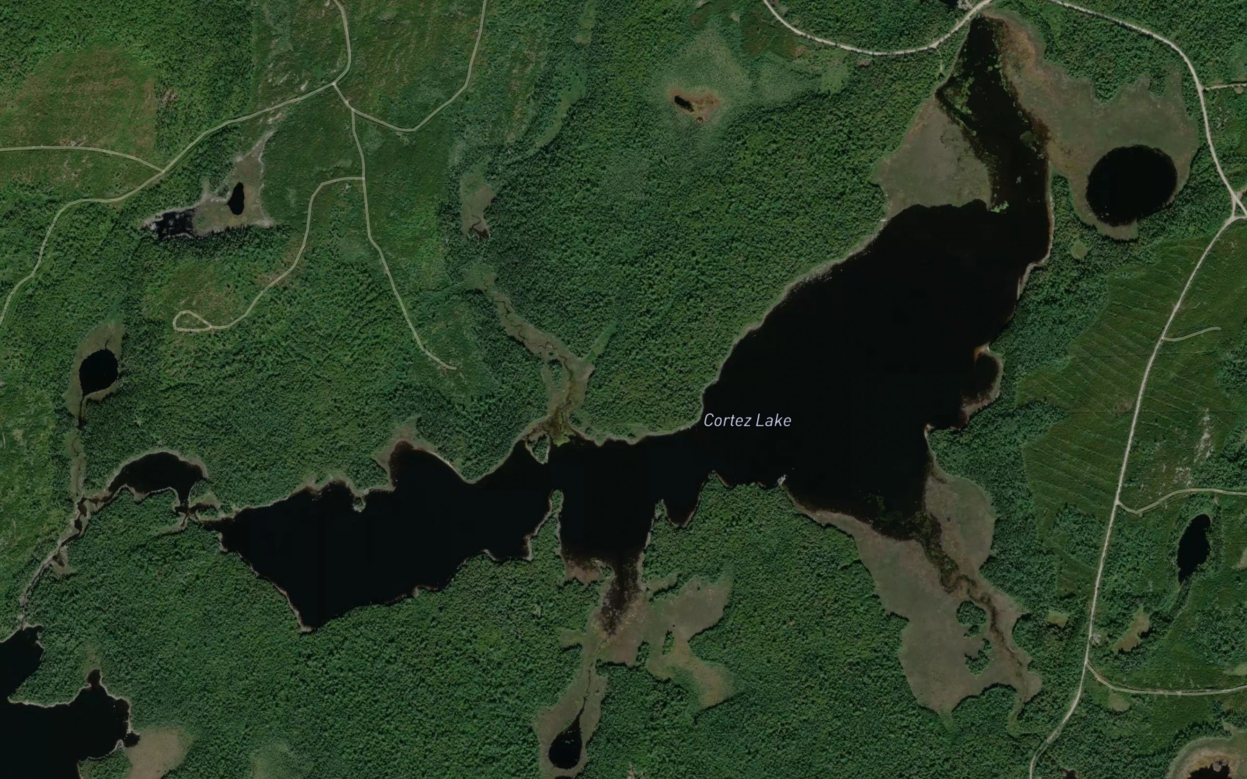 Satellite map of the Cortez Lake