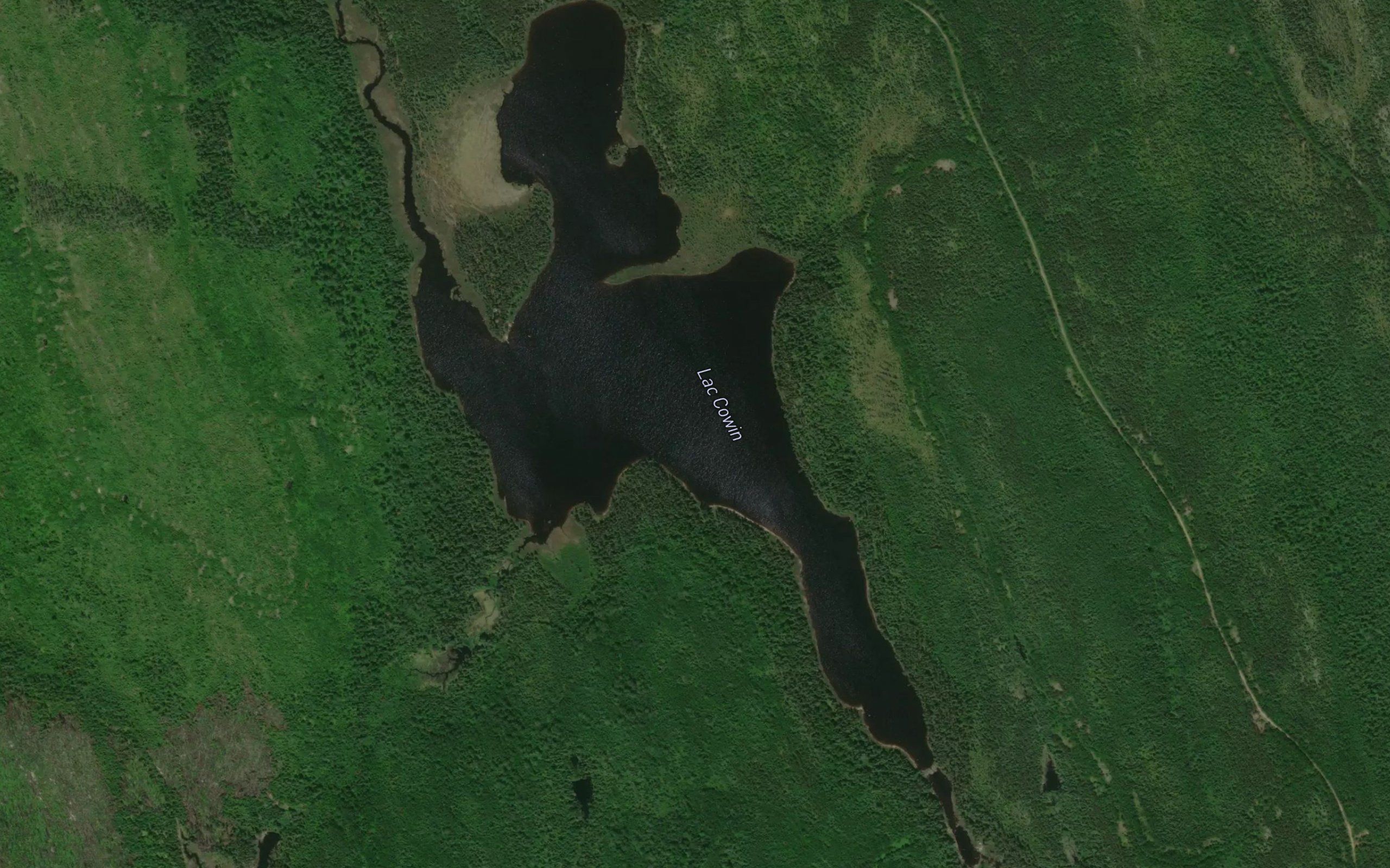 Lac Cowin
