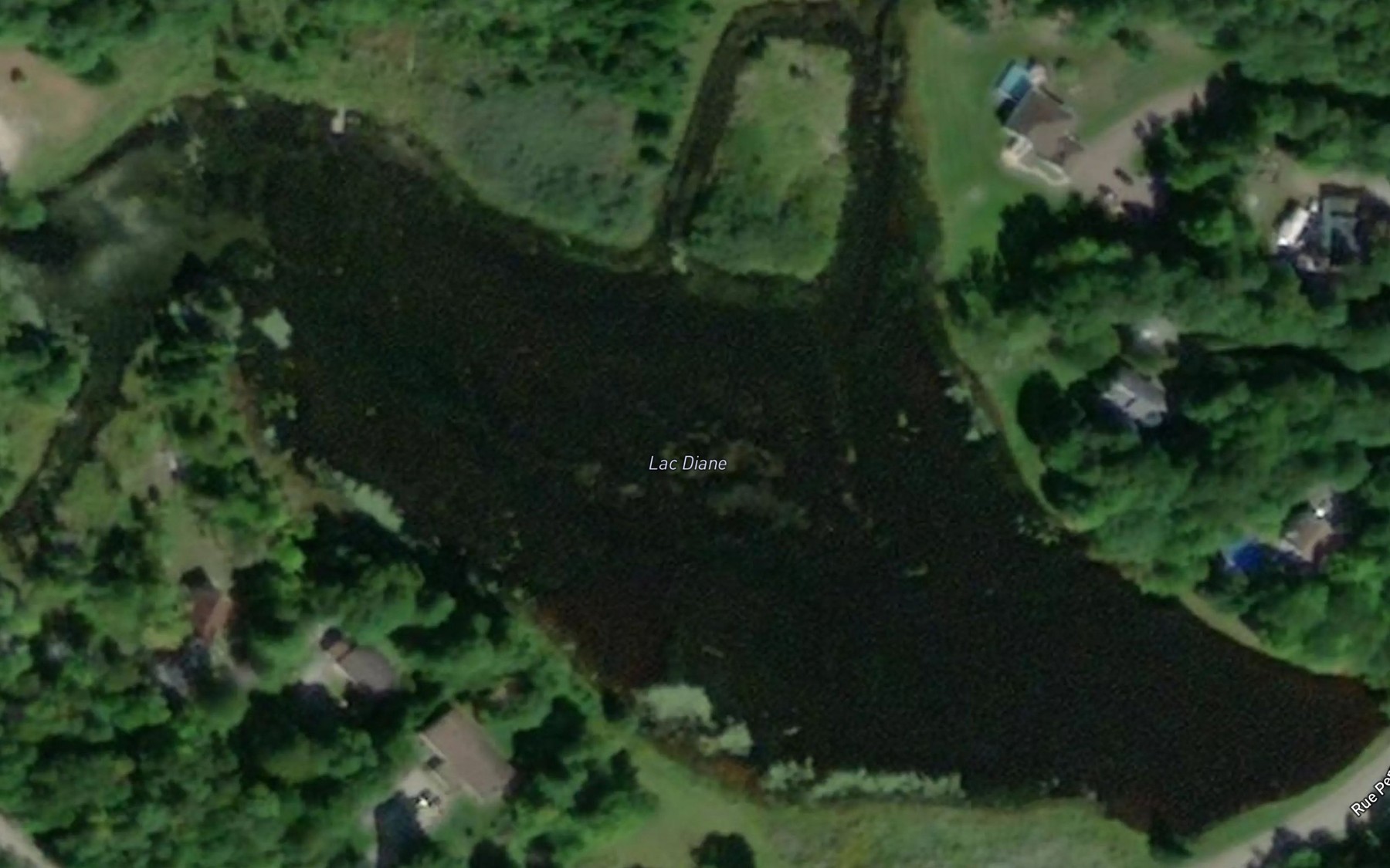 Satellite map of the Lac Diane